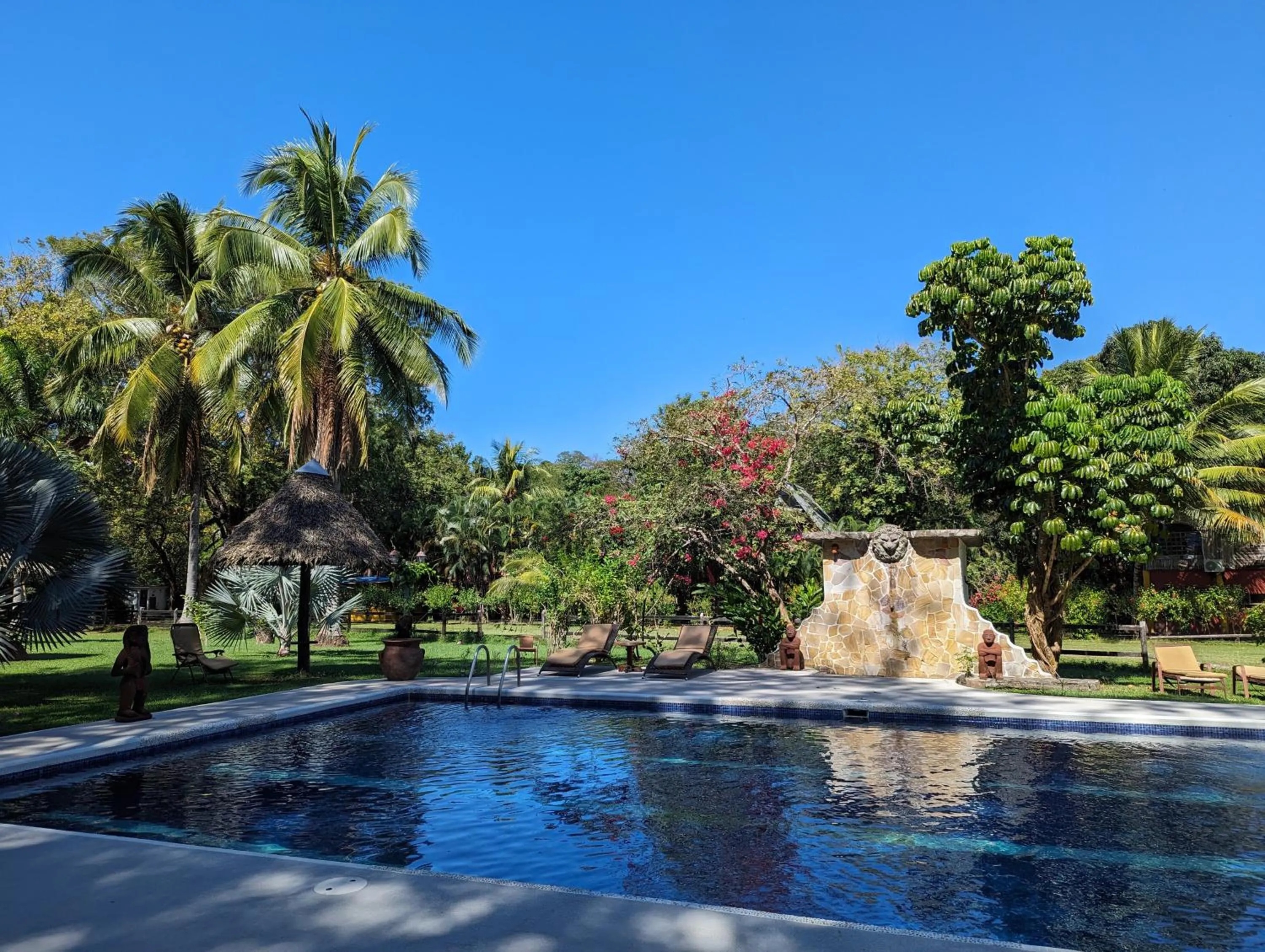 Garden in spirit of jungle lodge