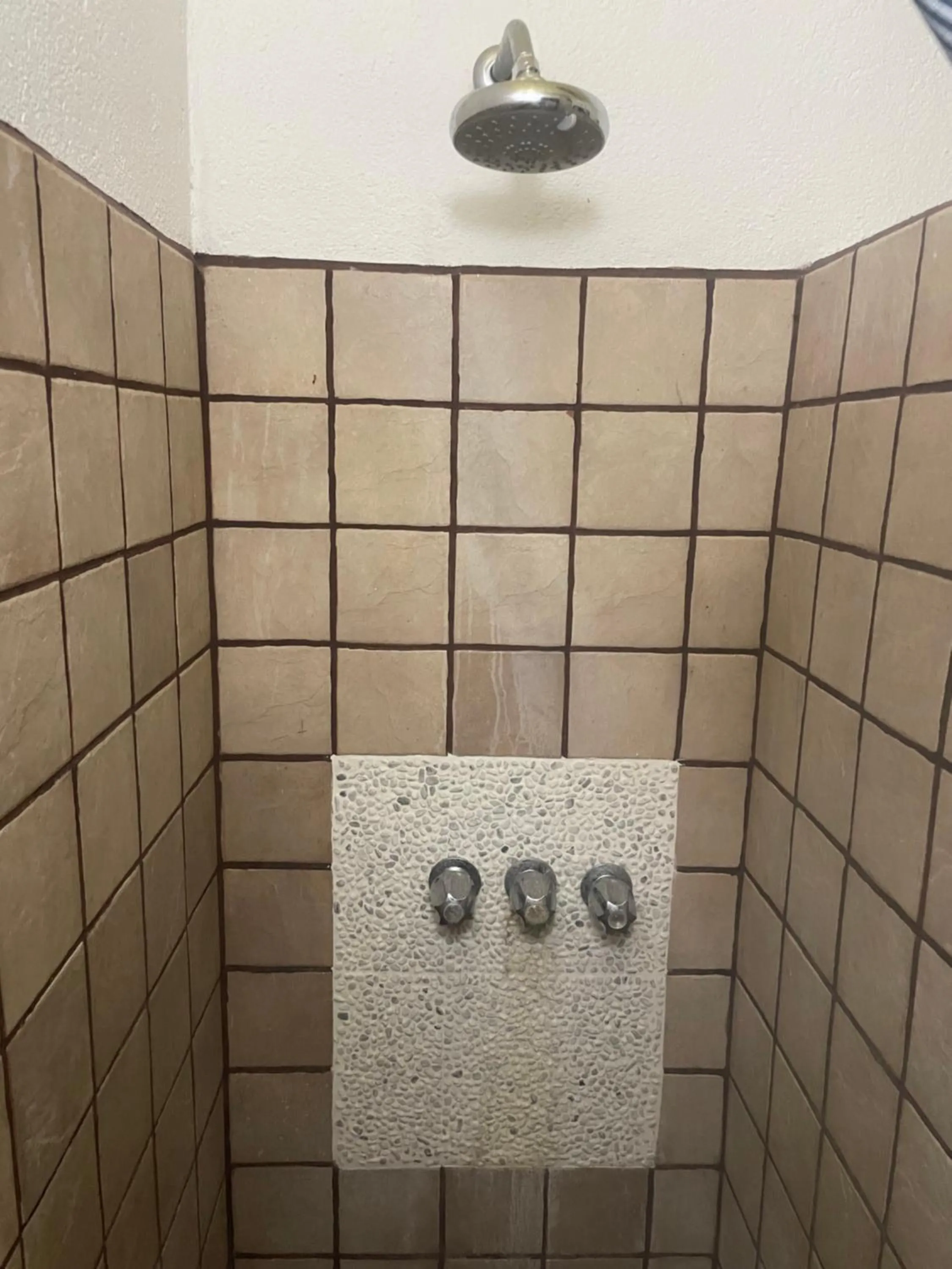 Bathroom in spirit of jungle lodge