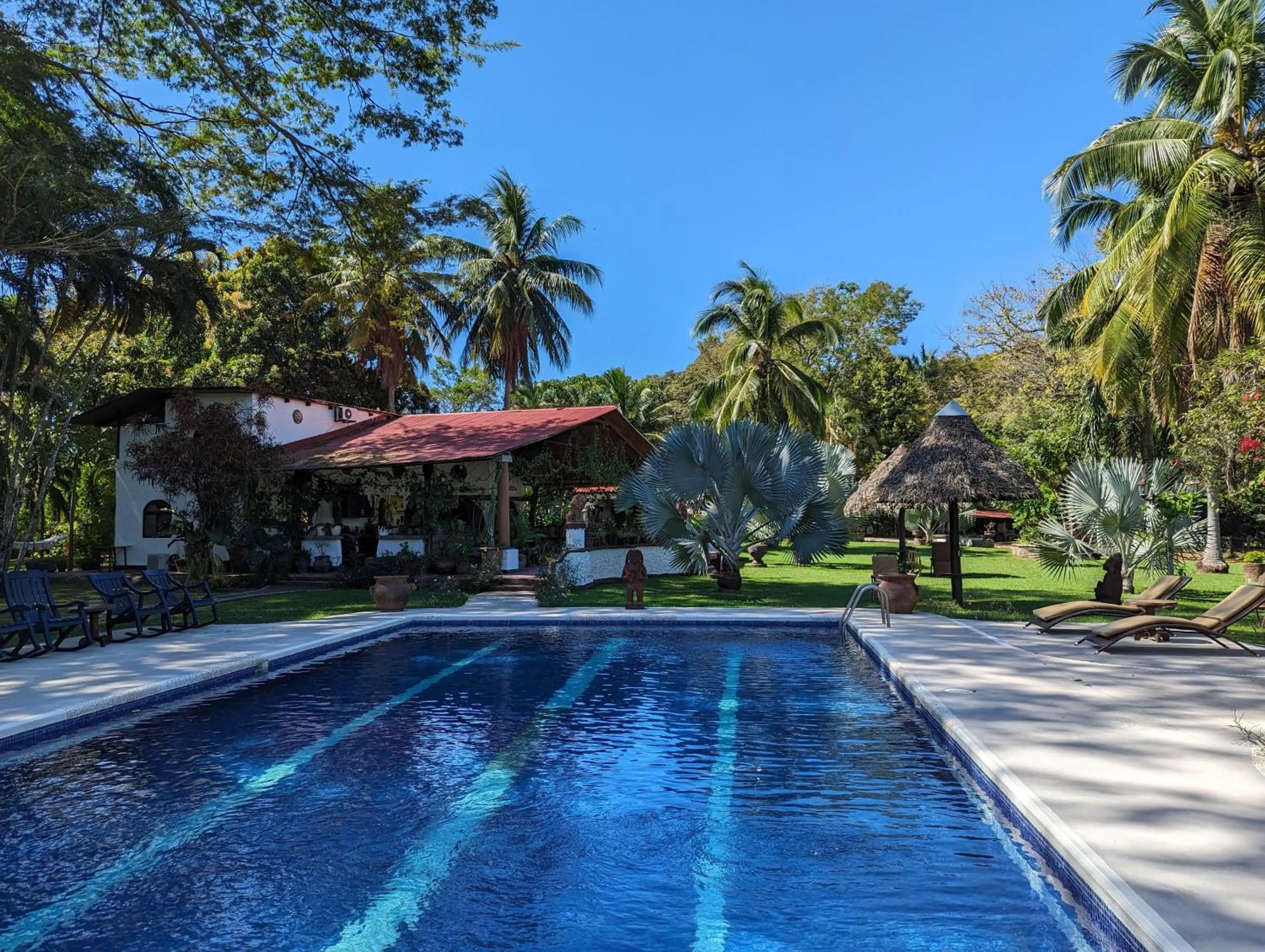 Garden in spirit of jungle lodge