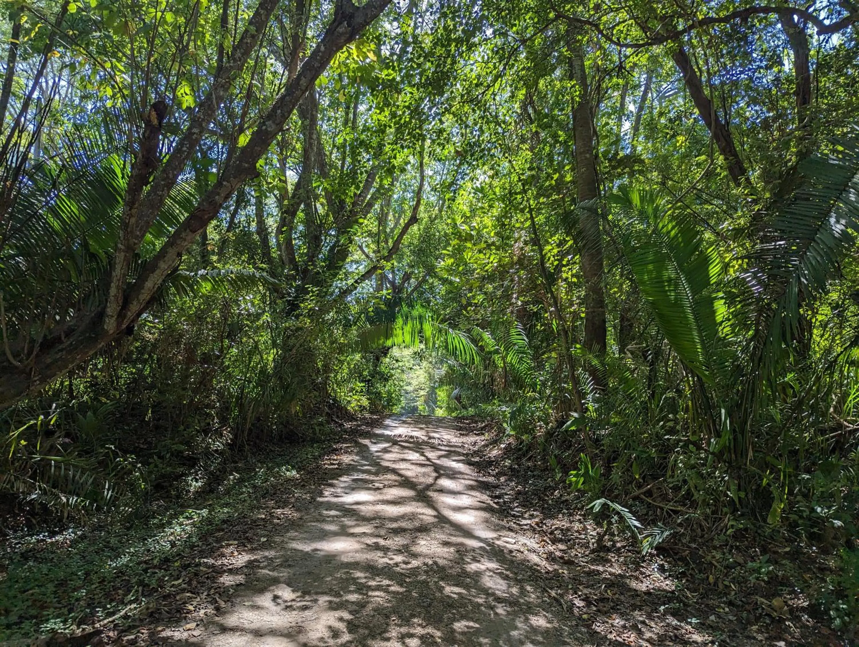 Natural landscape in spirit of jungle lodge