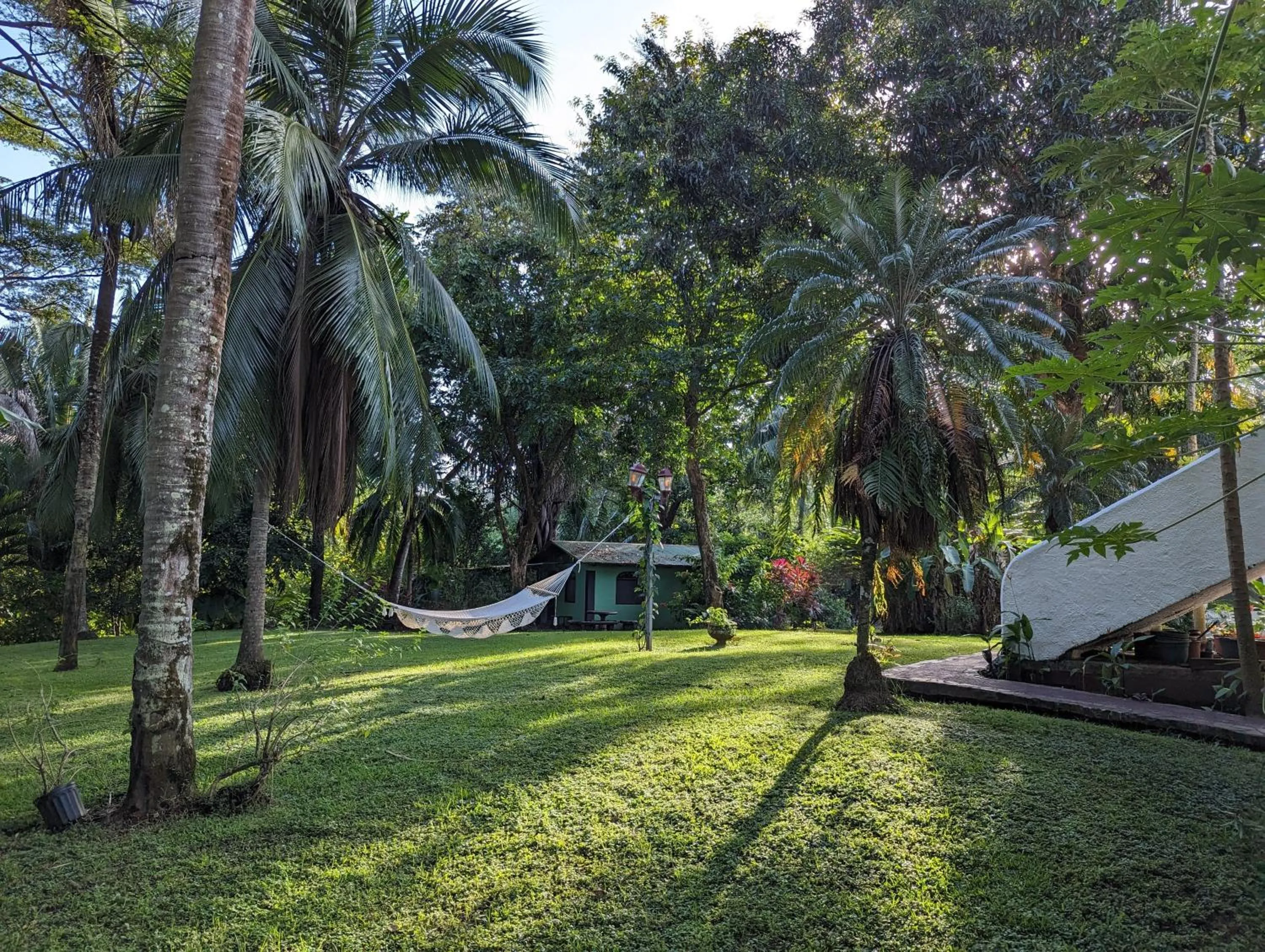 Garden in spirit of jungle lodge