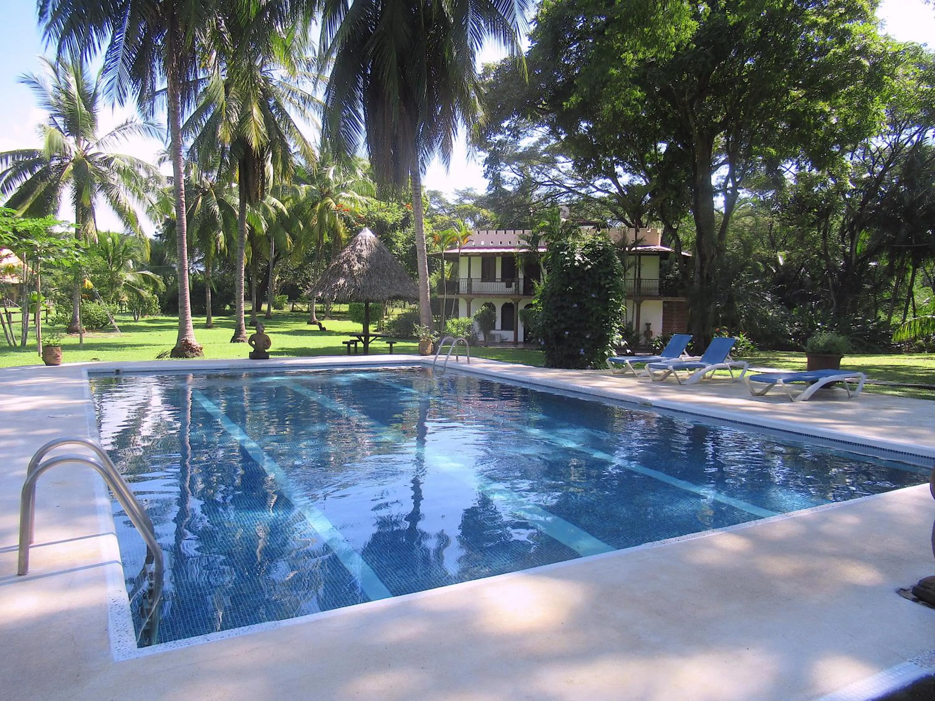 Garden in spirit of jungle lodge