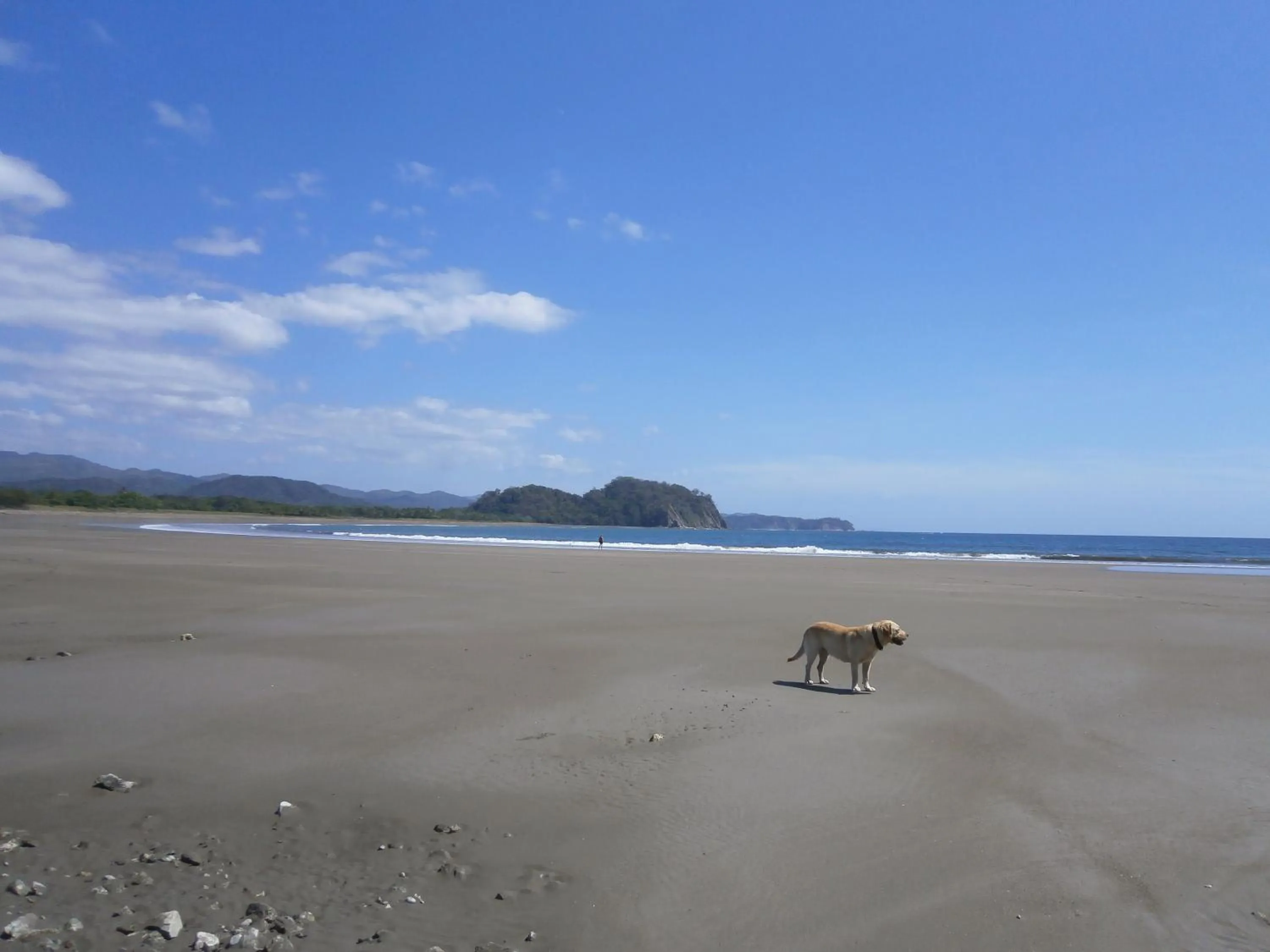 Beach in spirit of jungle lodge