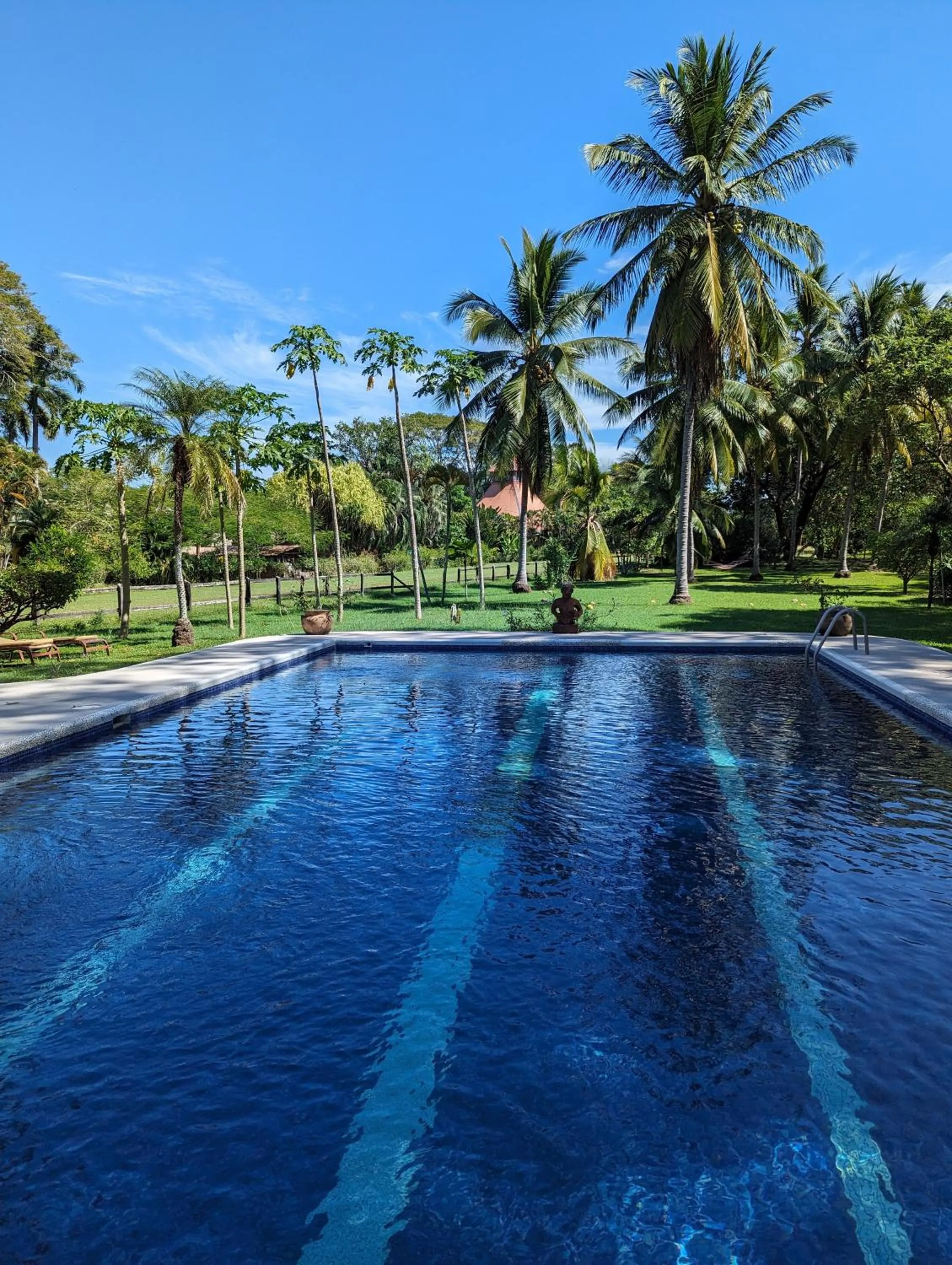 Swimming pool in spirit of jungle lodge