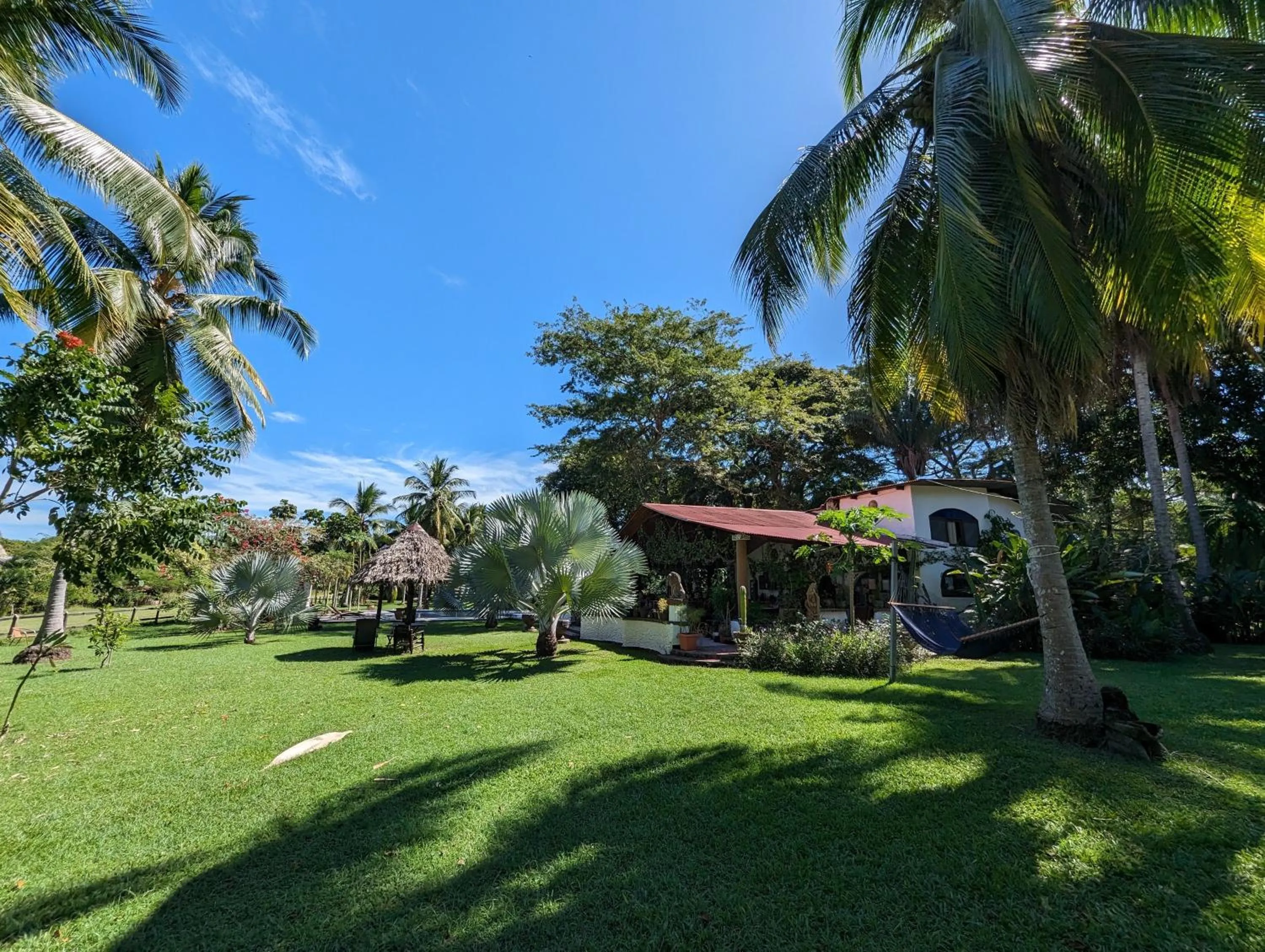 Garden in spirit of jungle lodge