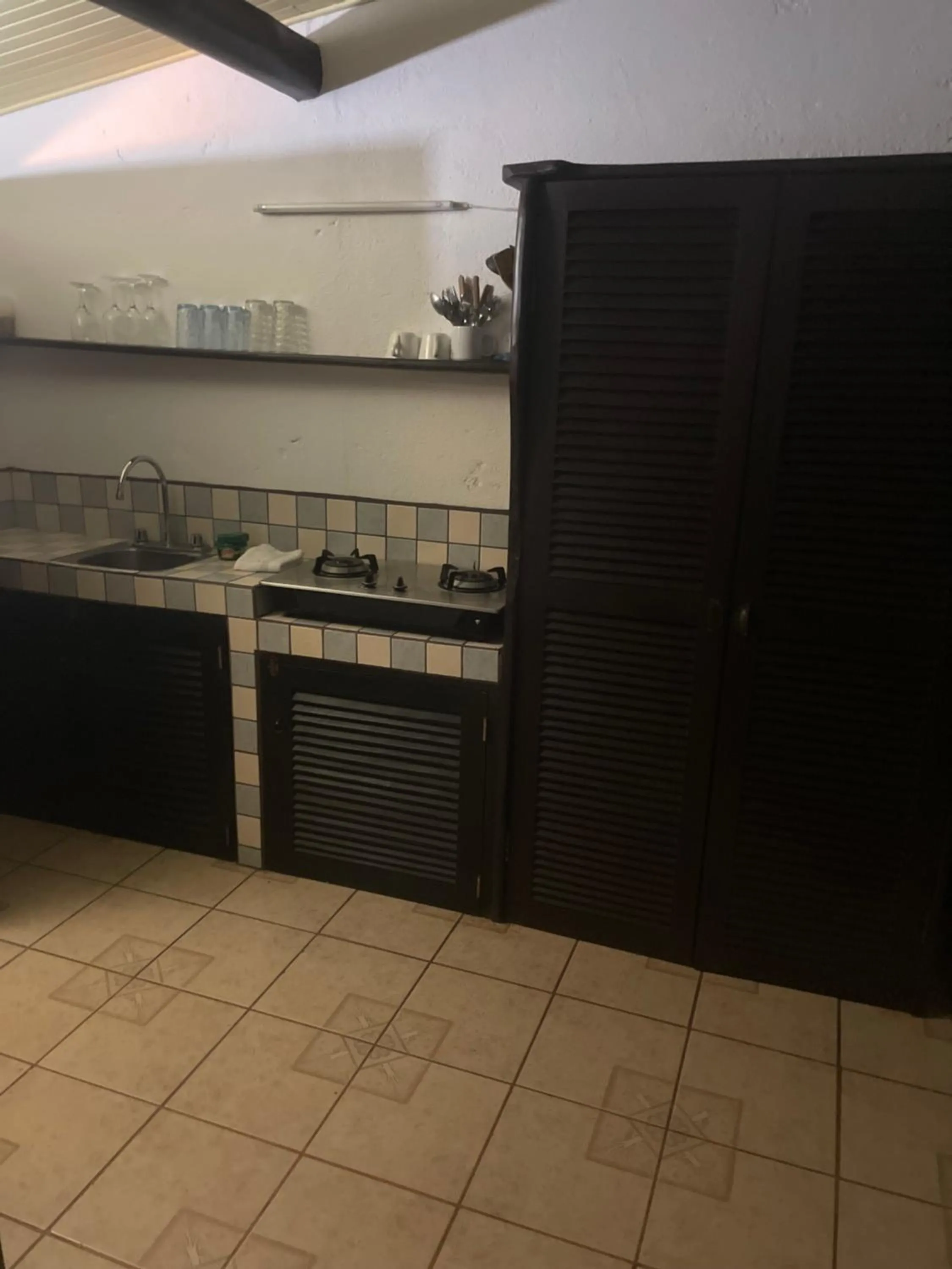 Kitchen or kitchenette in spirit of jungle lodge
