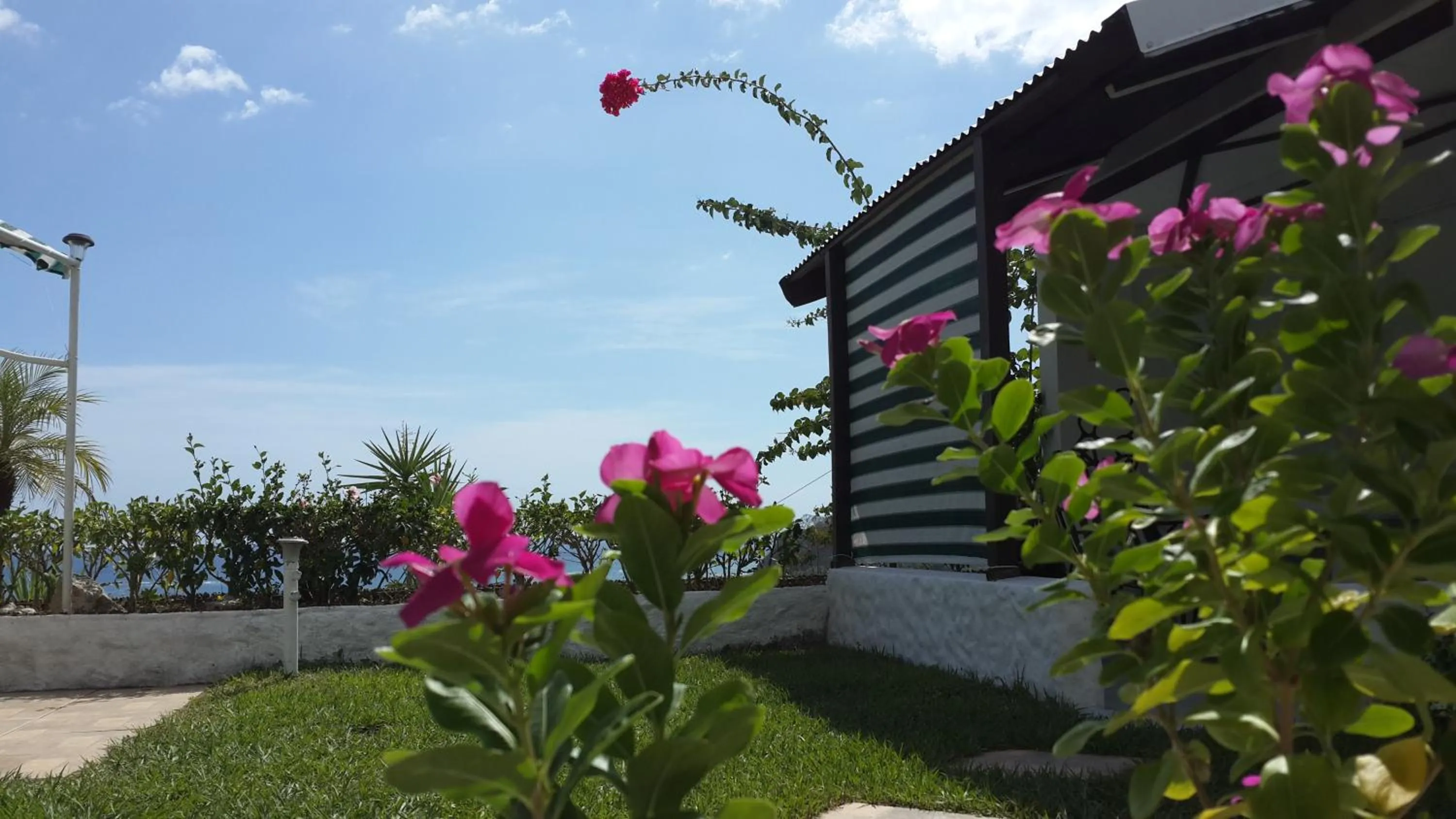 Garden in Barracuda apartments