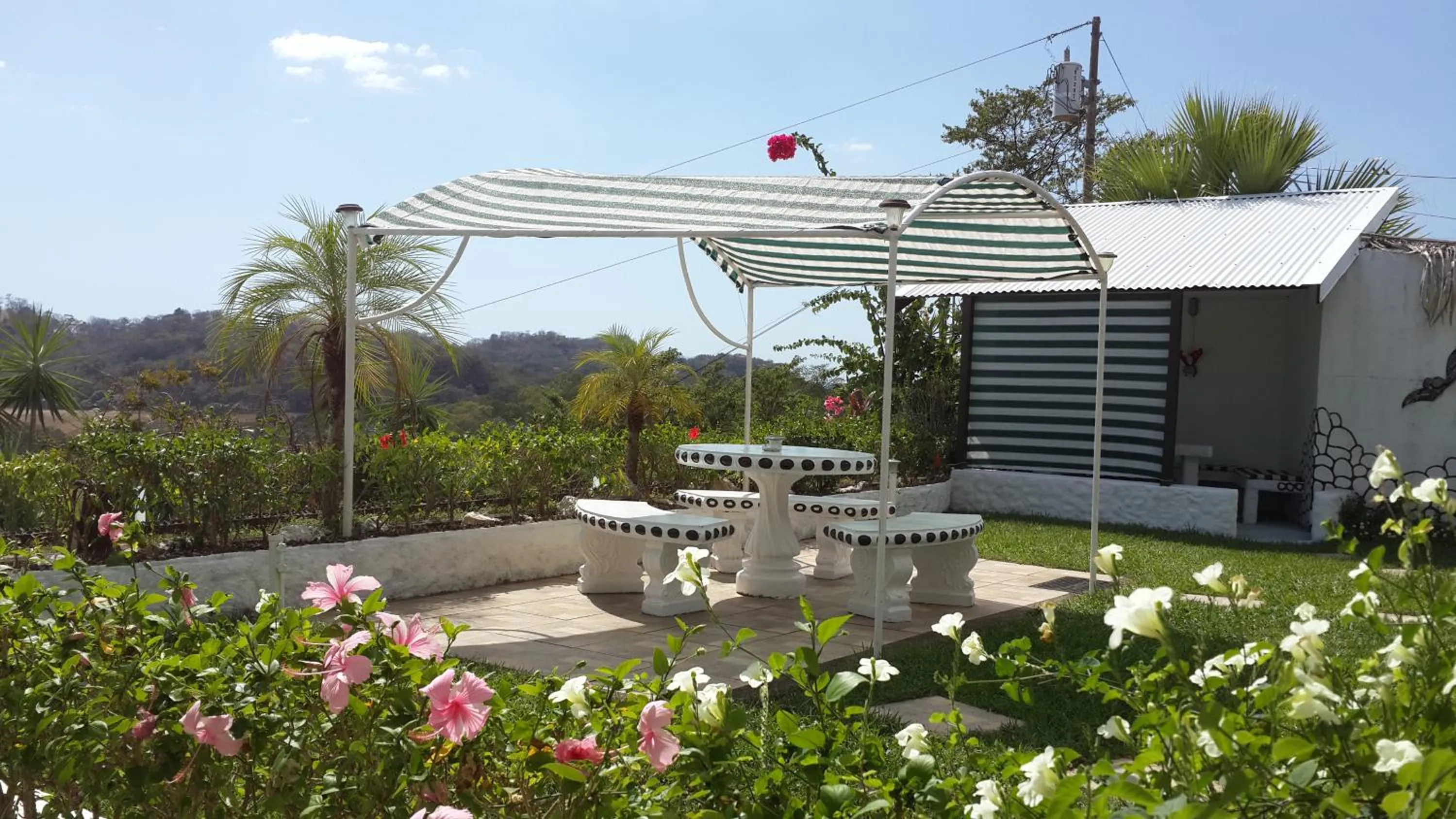 Patio in Barracuda apartments