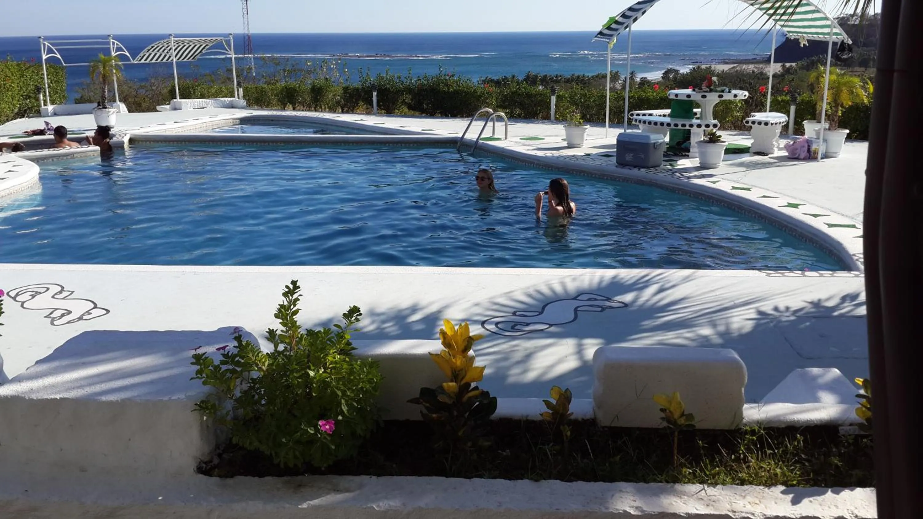 Swimming pool in Barracuda apartments