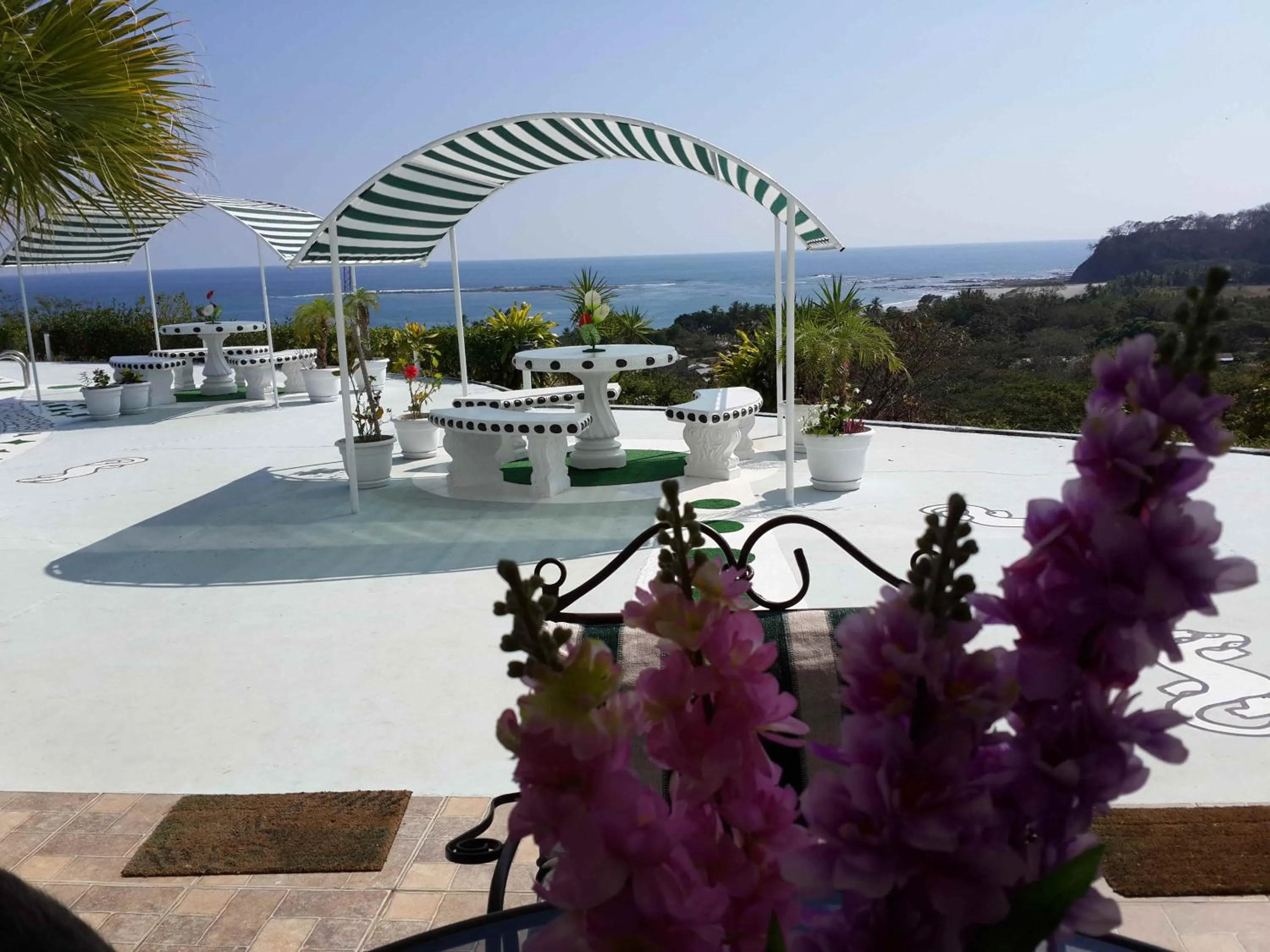 Sea view in Barracuda apartments