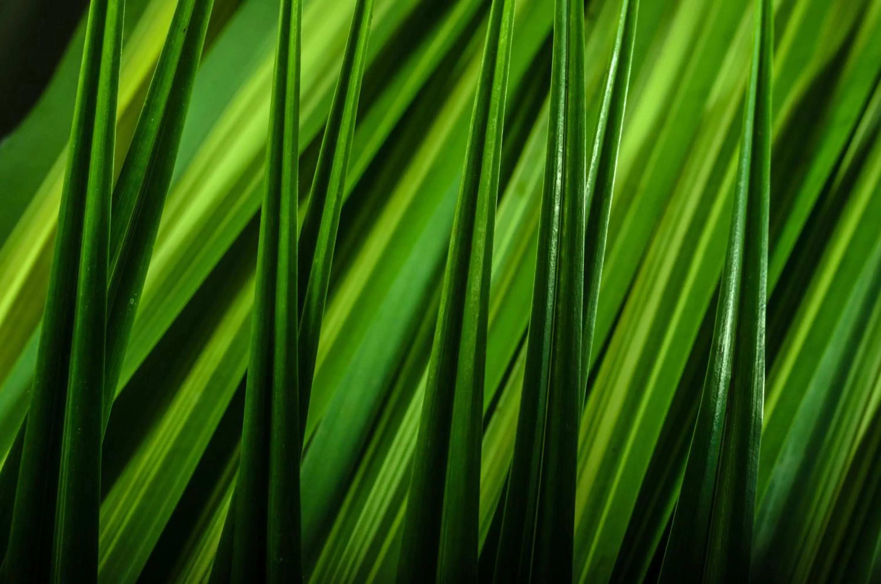 Decorative detail in Isla Verde Hotel
