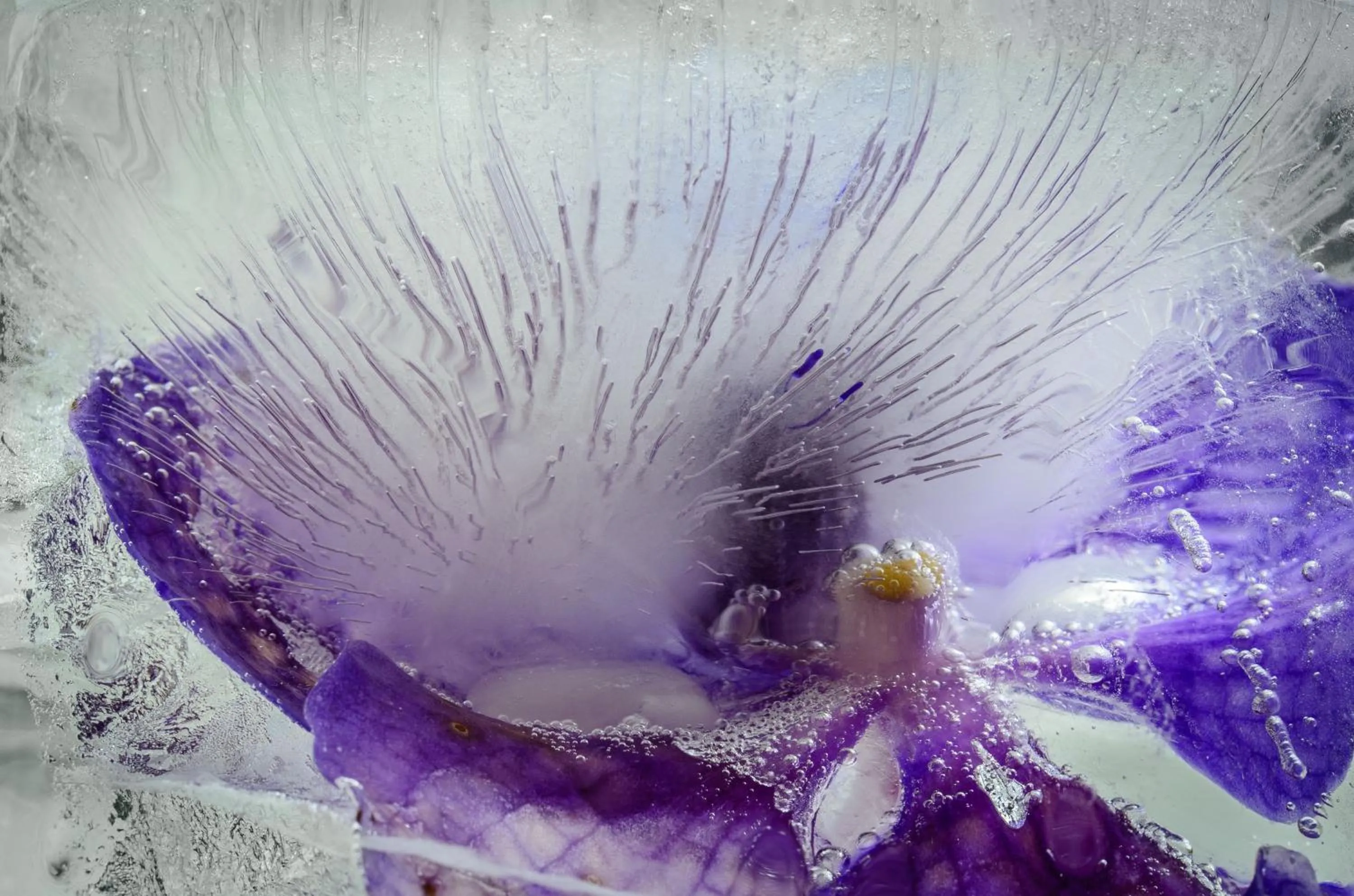 Decorative detail in Isla Verde Hotel