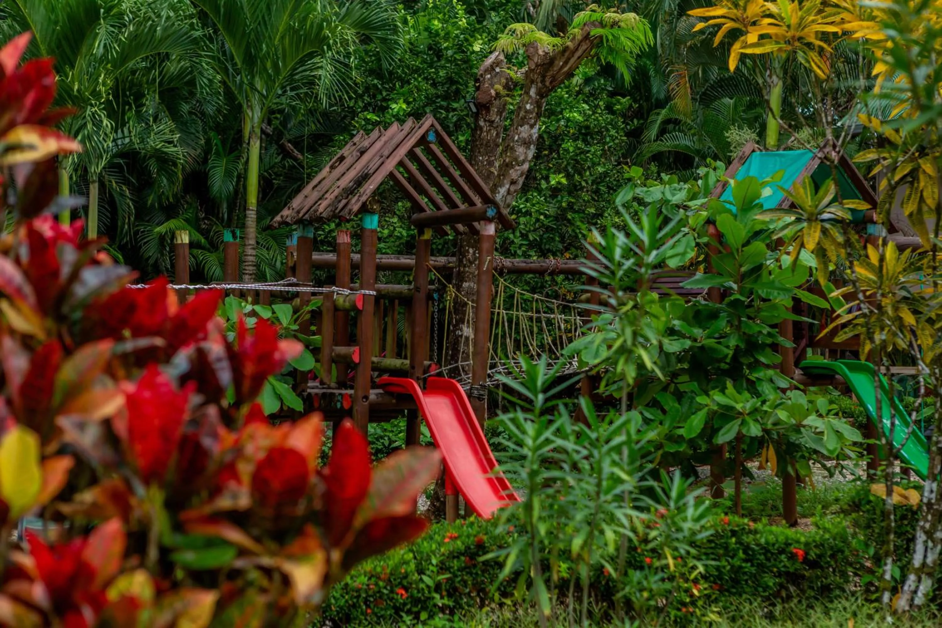 Garden view in Leyenda Boutique Hotel & Spa
