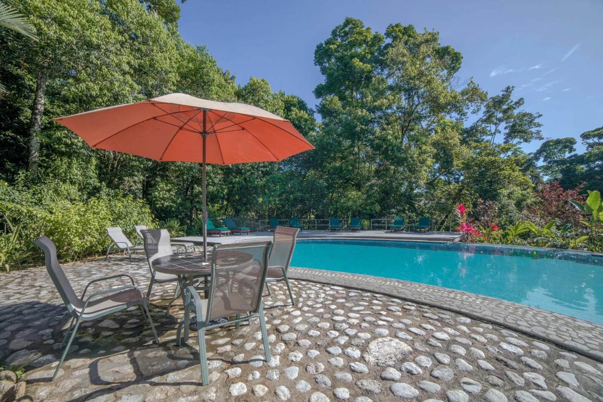 Swimming pool in Luna Lodge