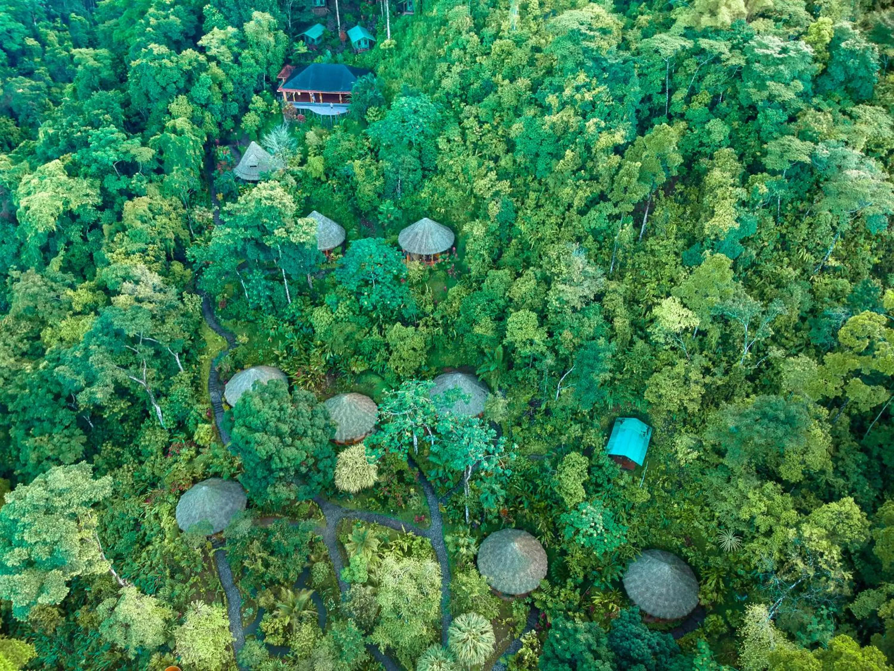 Natural landscape in Luna Lodge