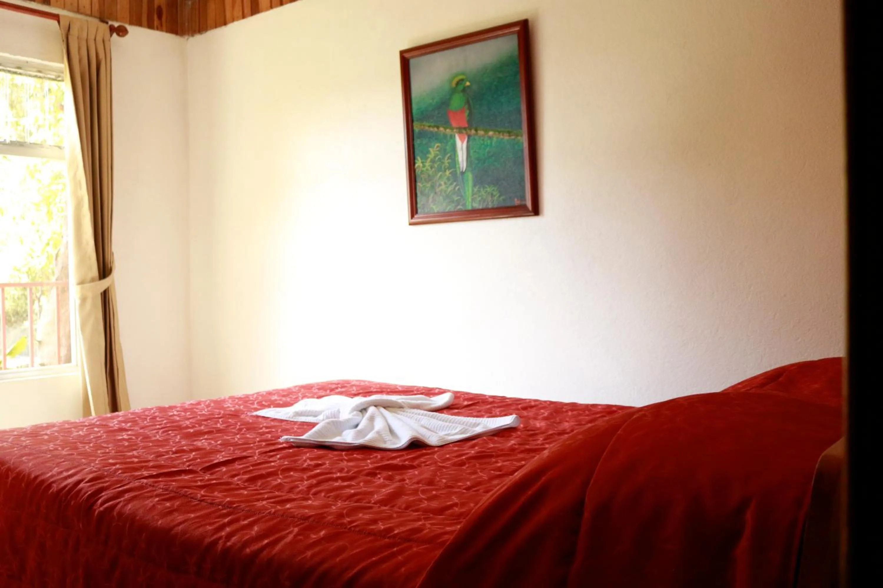 Area and facilities, Bed in Cabinas Eddy B&B