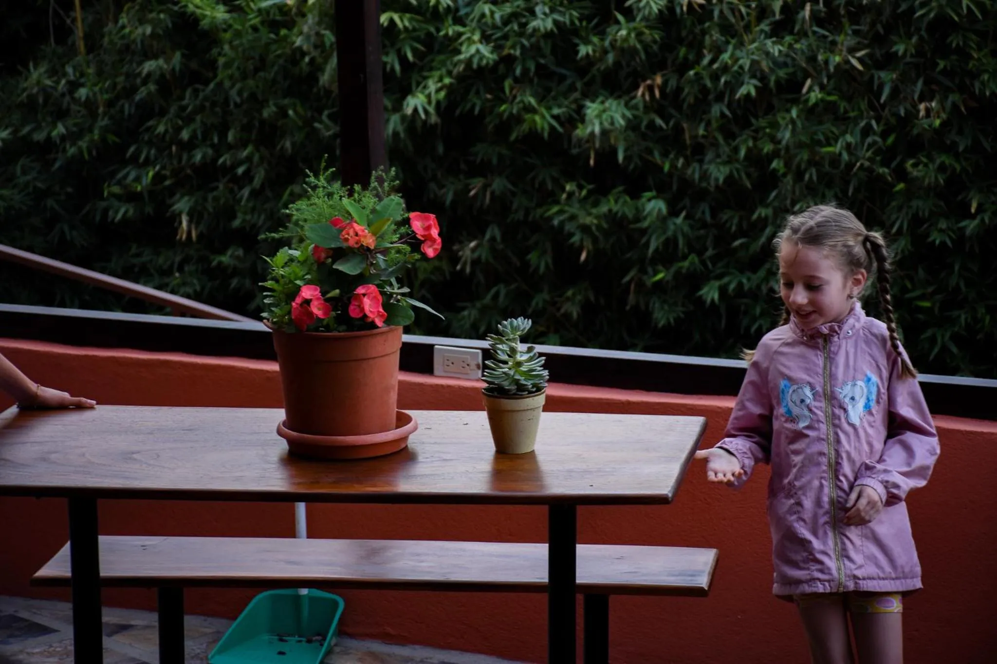 Patio in Cabinas Eddy B&B