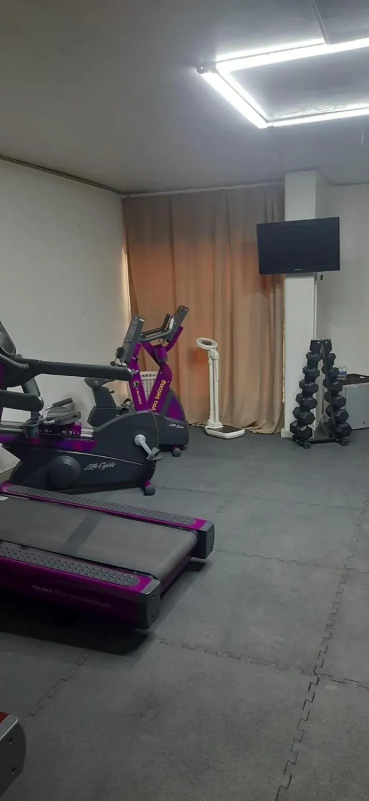 Fitness centre/facilities in Palm Hotel