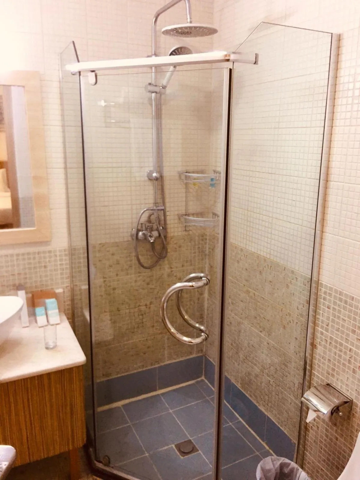 Bathroom in Palm Hotel