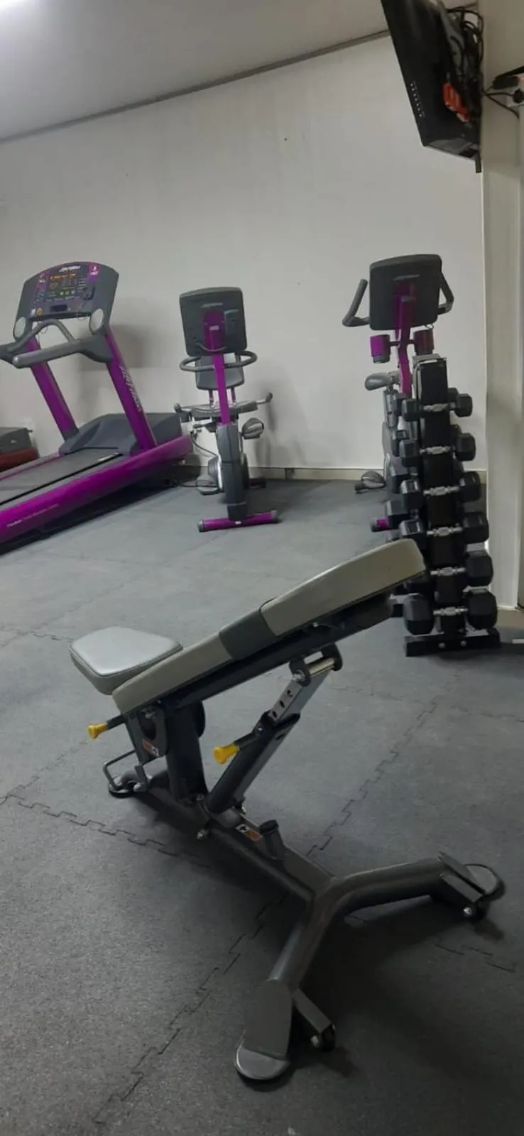Fitness centre/facilities in Palm Hotel