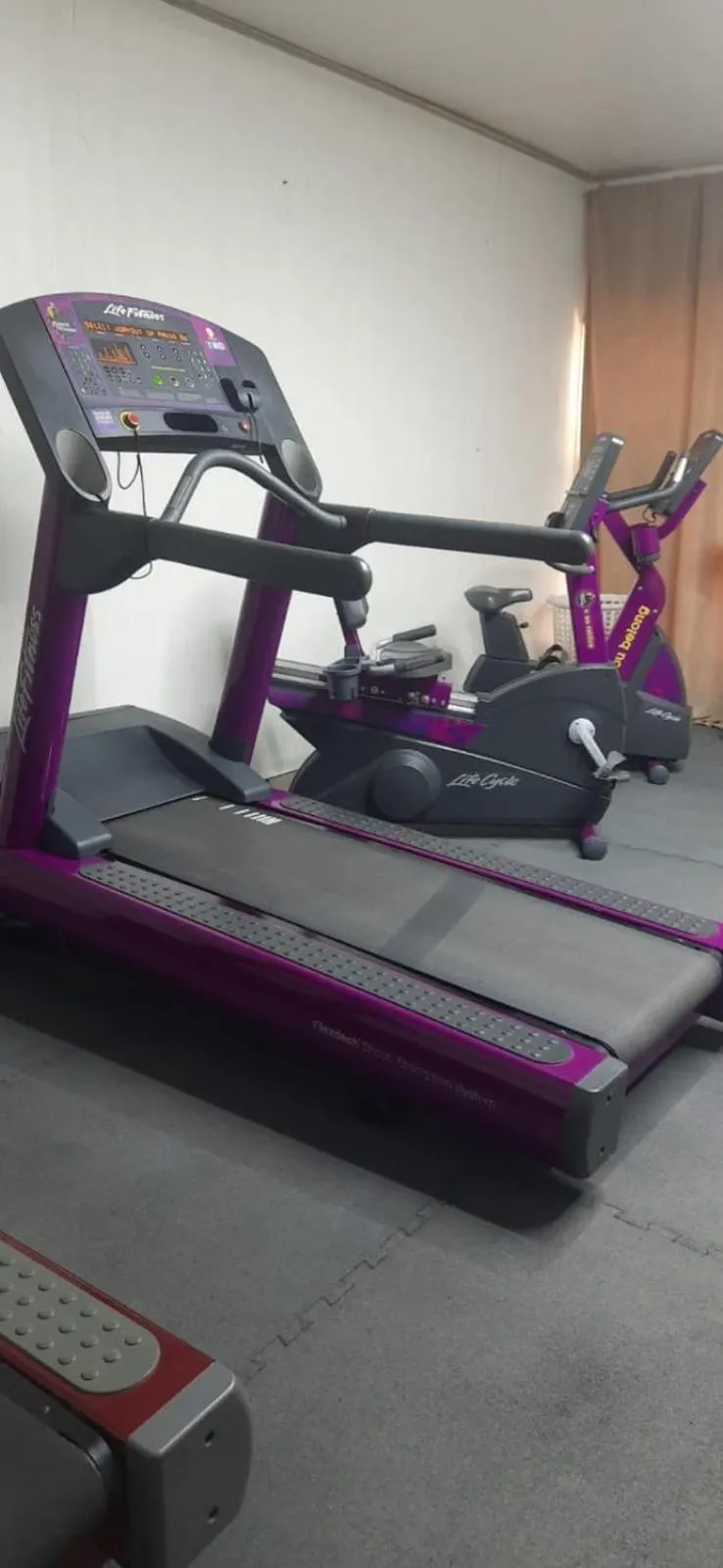 Fitness centre/facilities in Palm Hotel