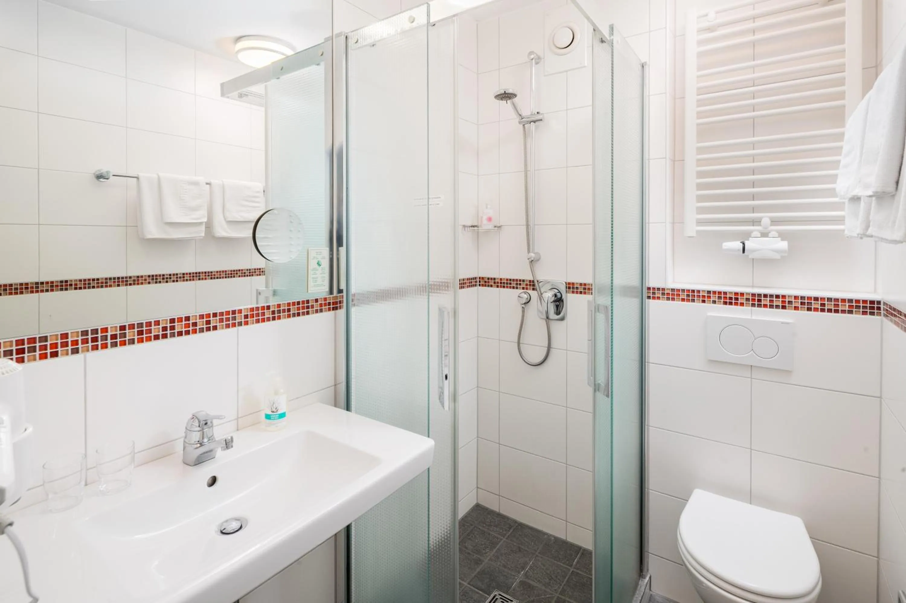 Shower in Hotel Rennschuh