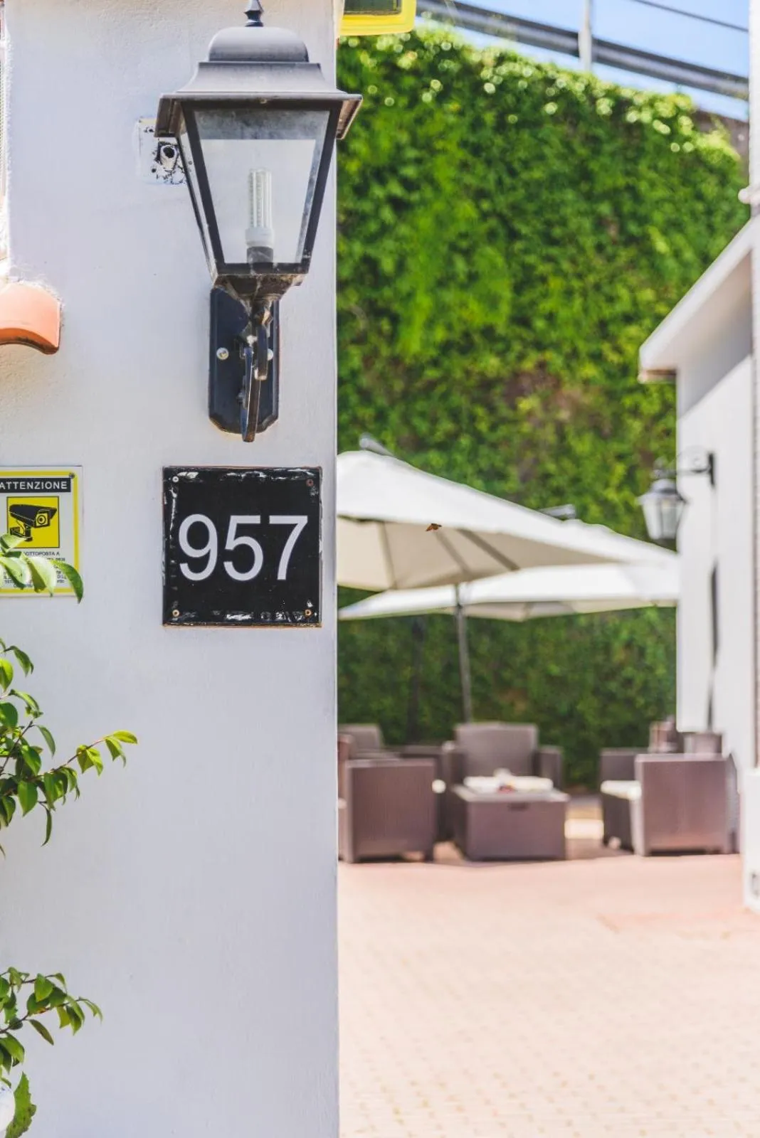 Garden in CANELLA HOTEL