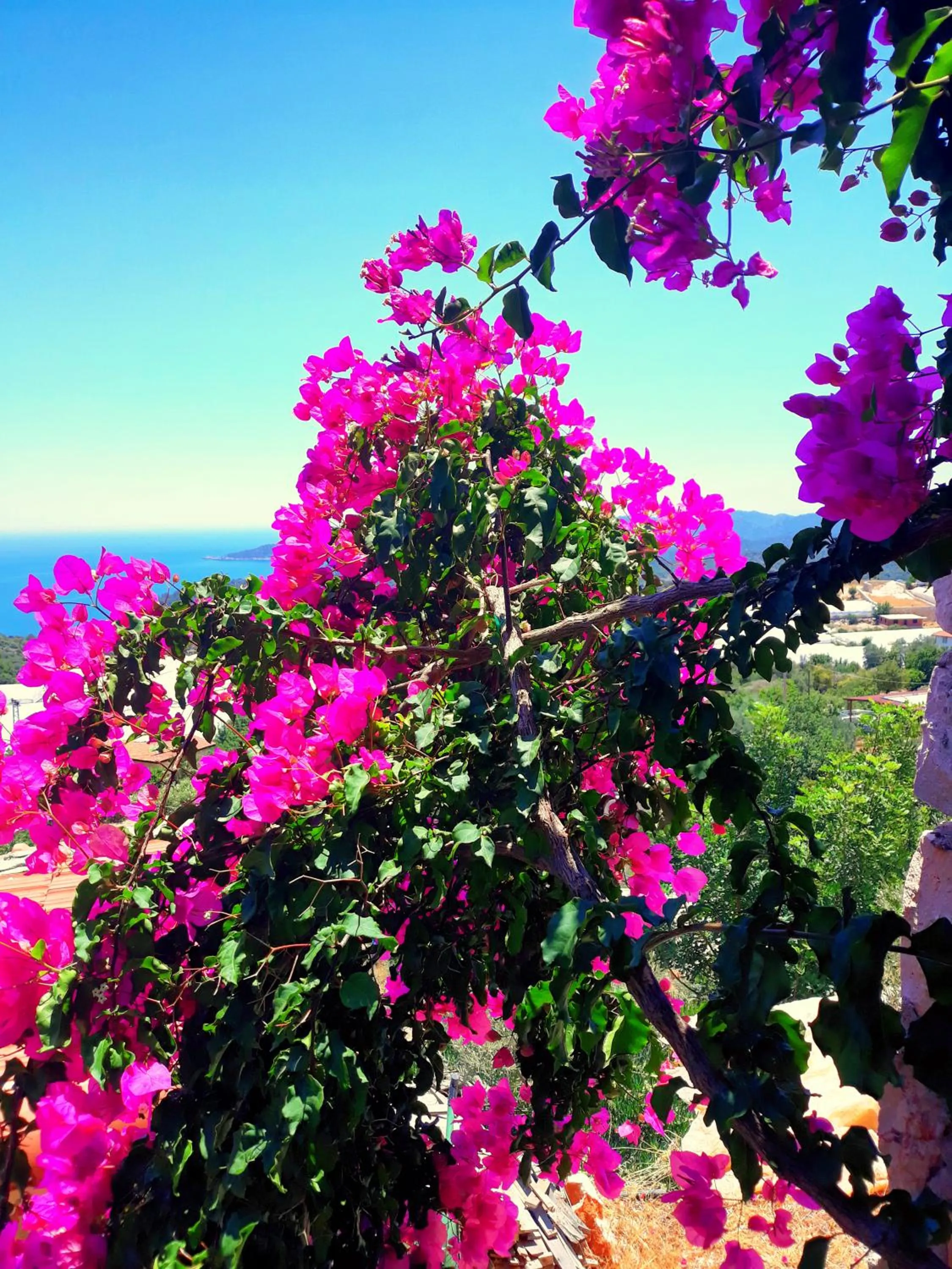 Nearby landmark in Istlada Taş Ev Apart - Kekova View
