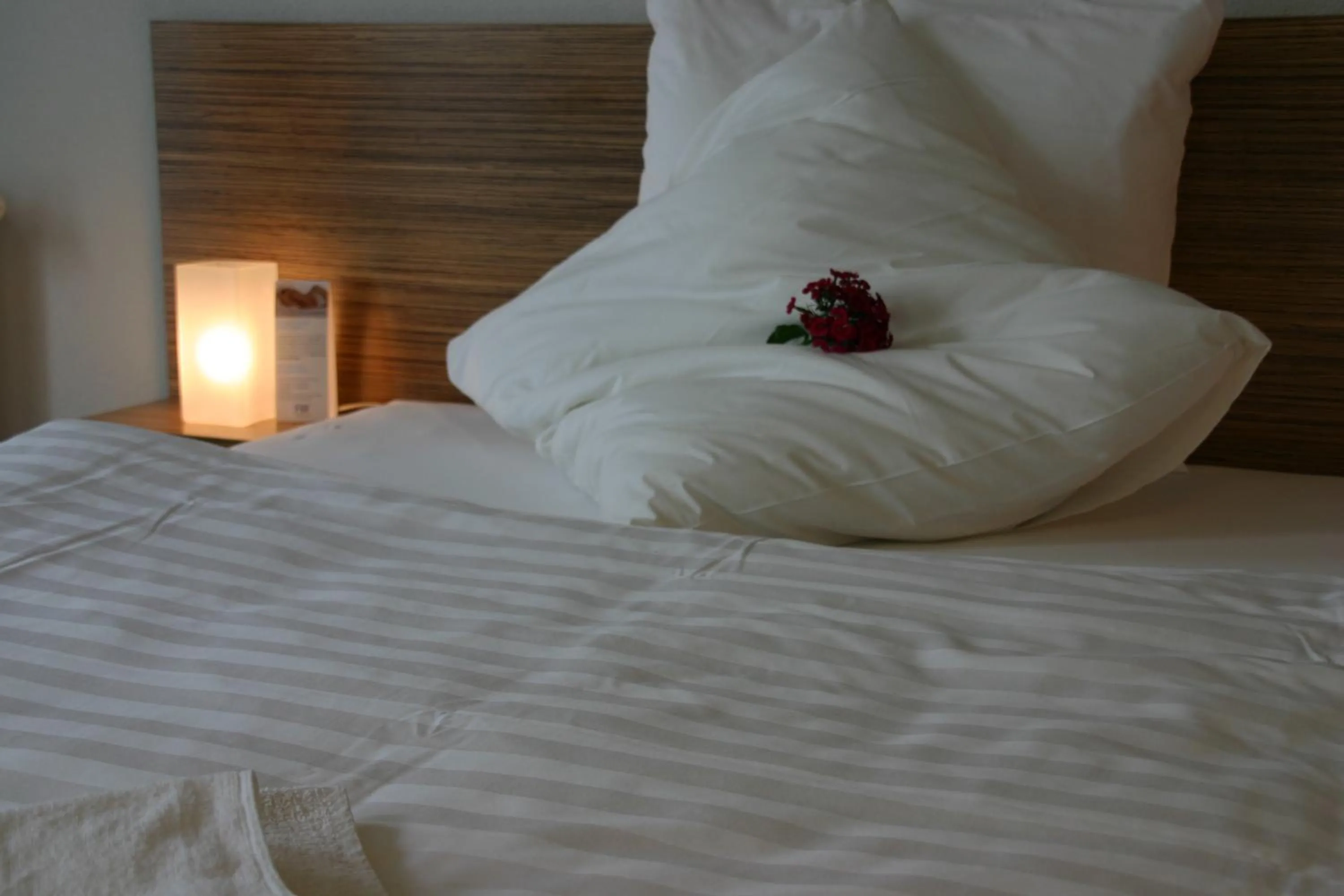 Double Room - single occupancy in Ferienhof Dittrichs Erben