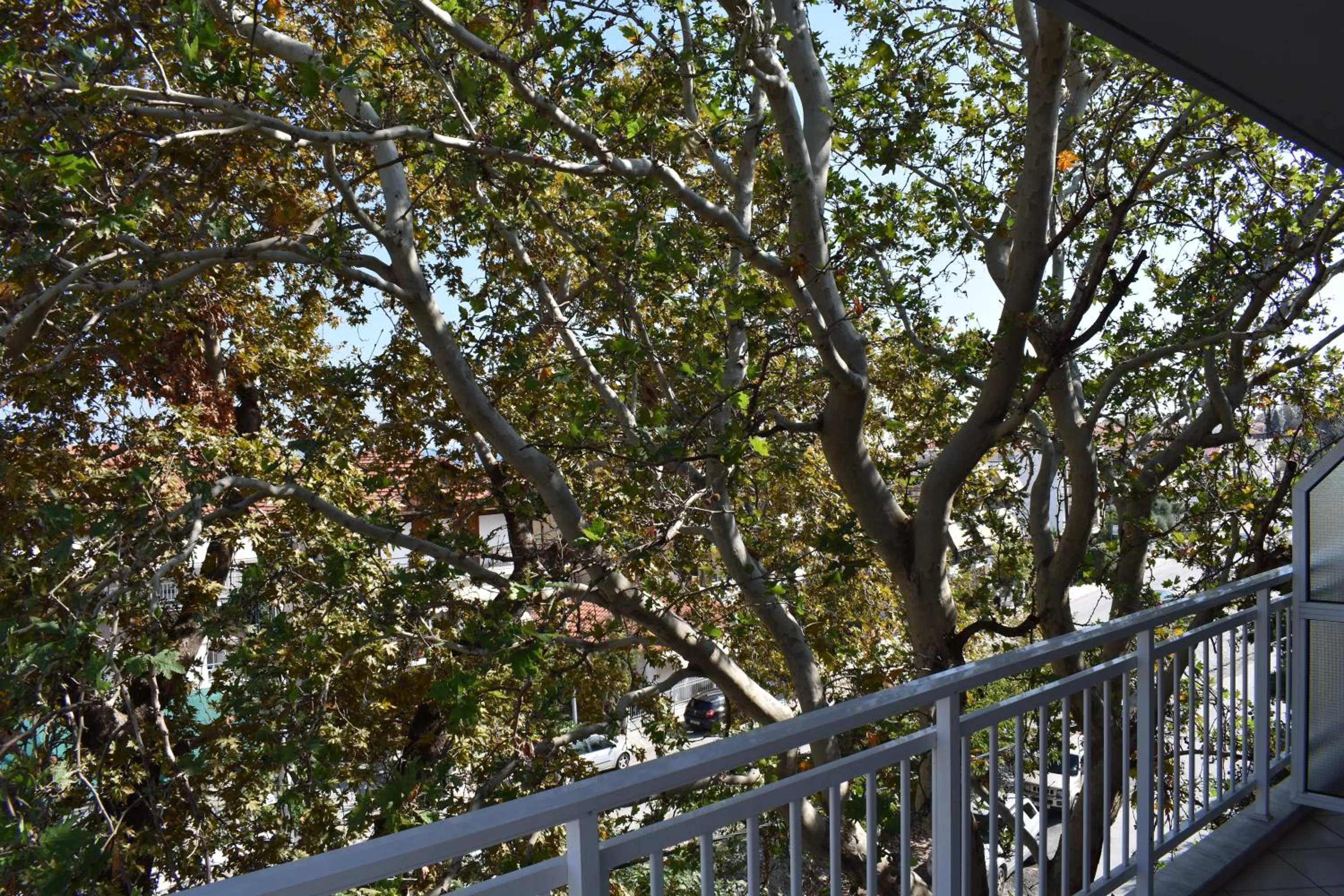 Galanis Studios and Apartments