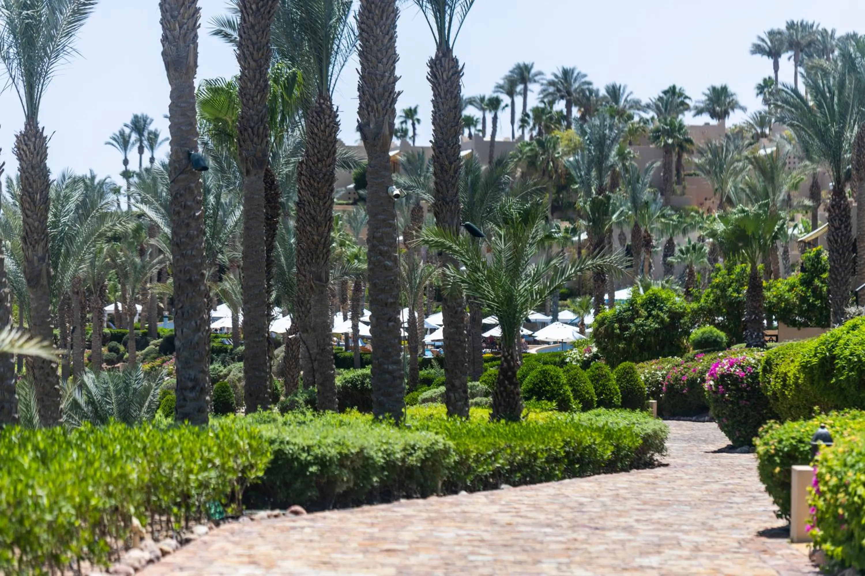 Natural landscape in Four Seasons Resort Sharm El Sheikh Private Residential Villa & Chalet - Egypt