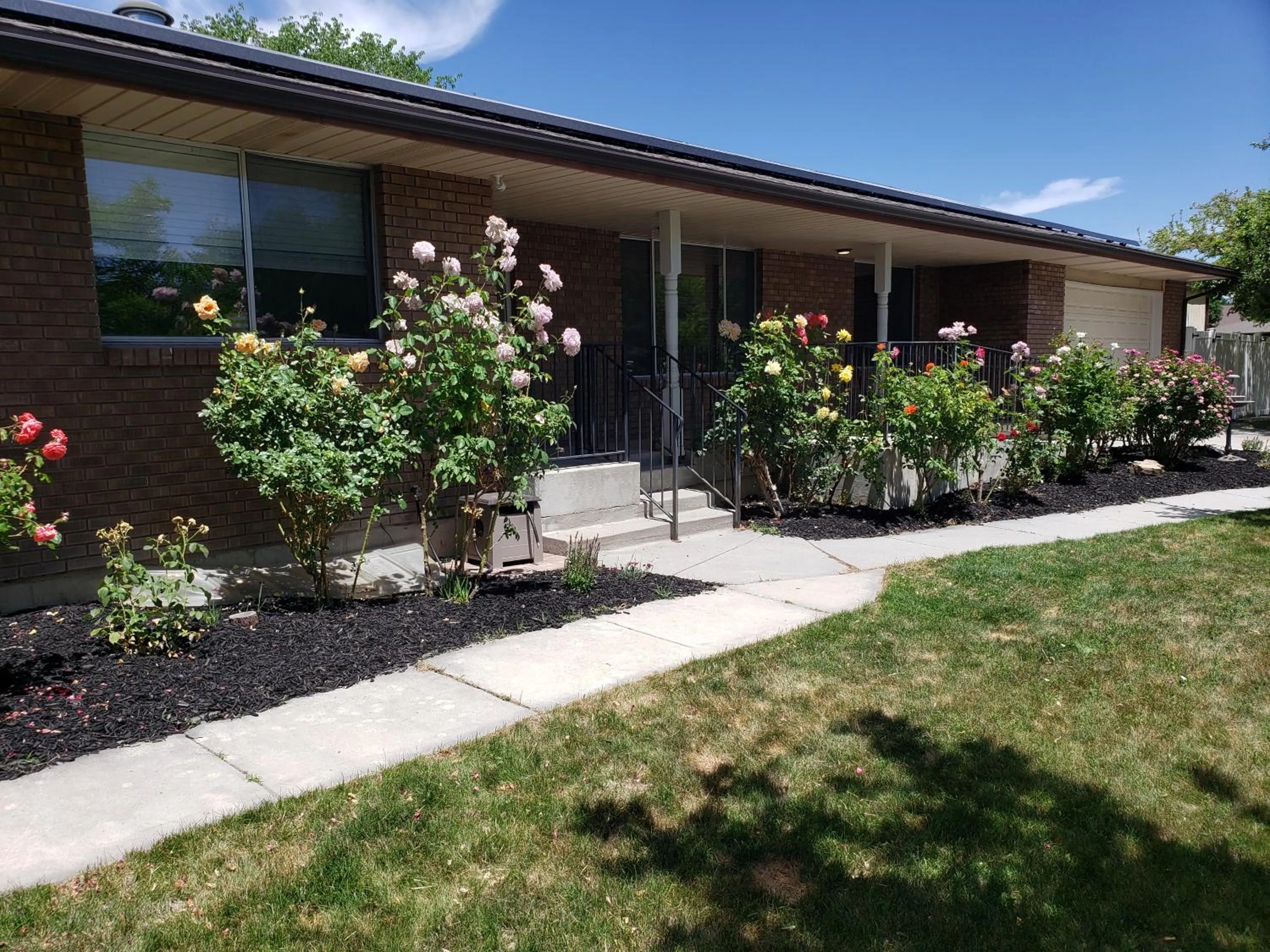 Property building in The Orchard