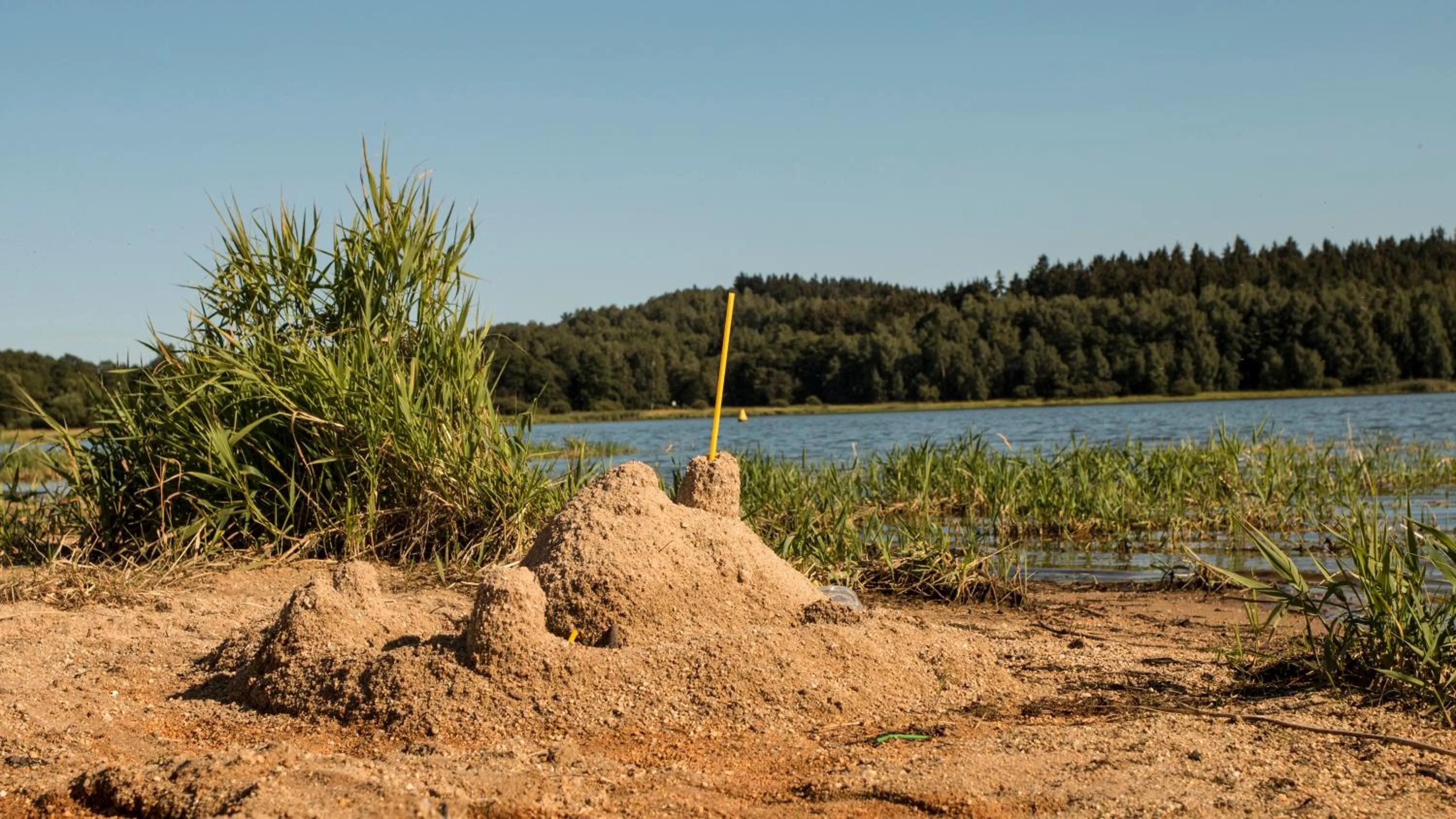Beach in Hotel Na Pláži