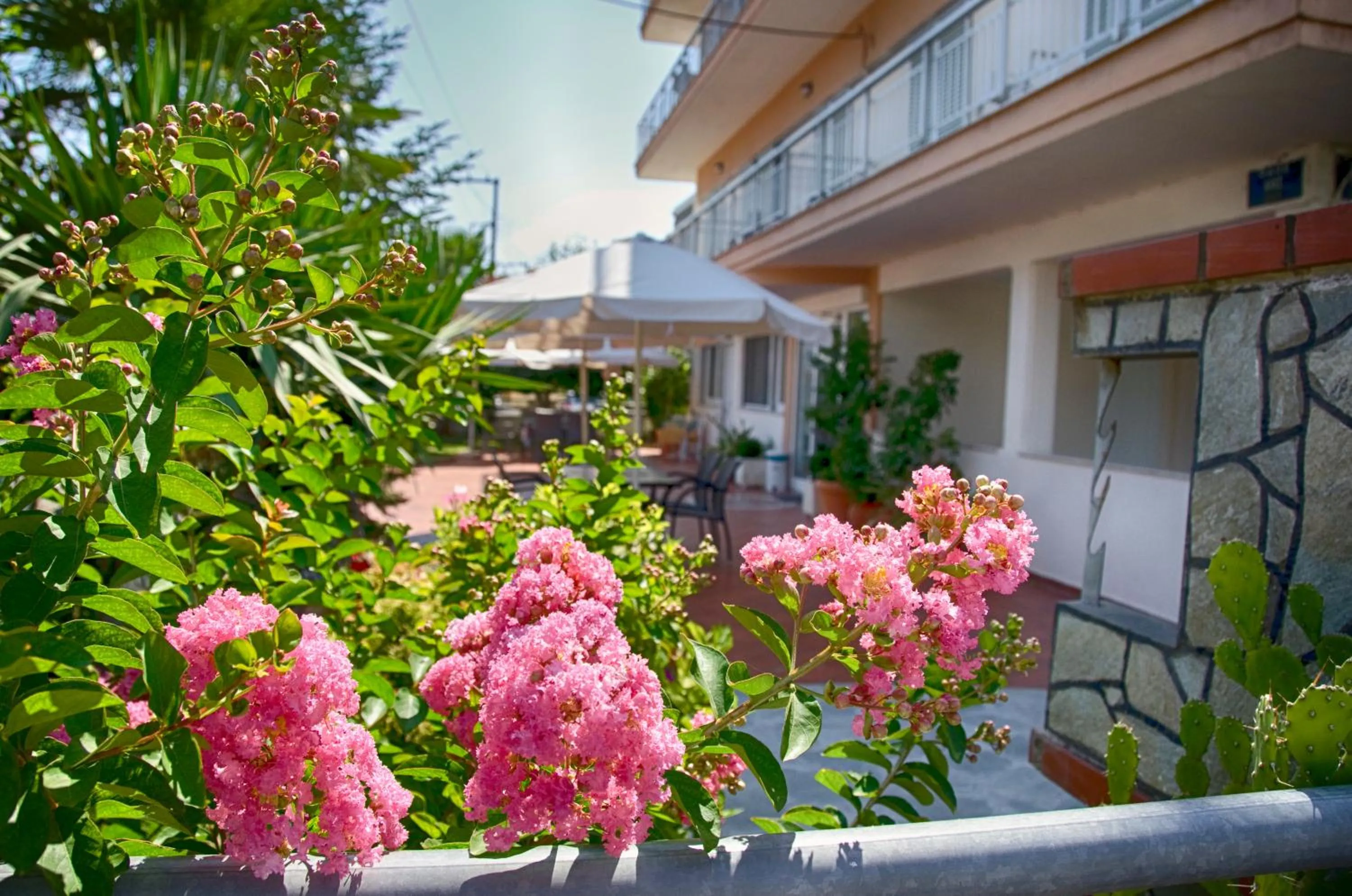 Garden in Galini Apartments