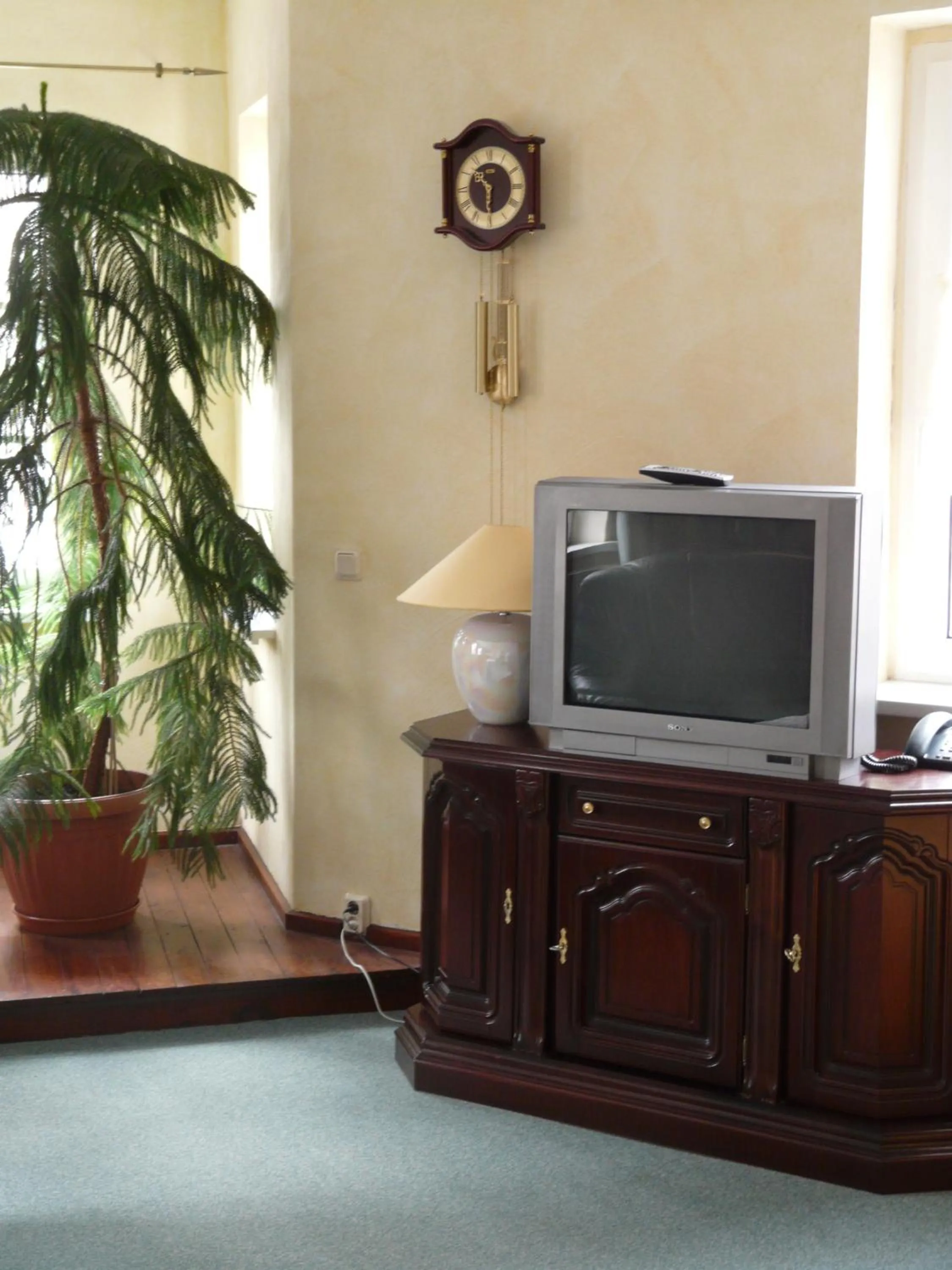 TV and multimedia in Pension Wegerich