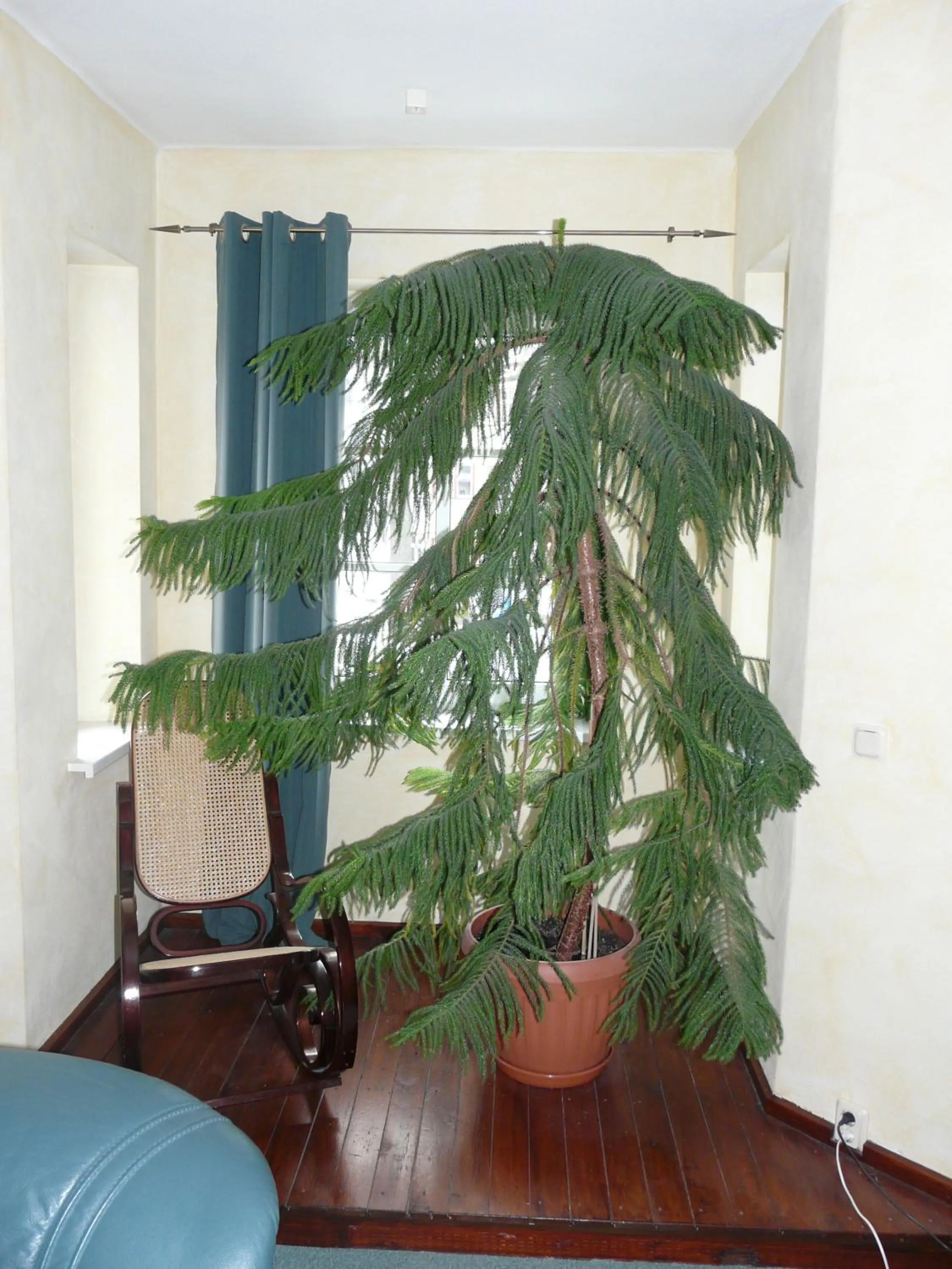 Decorative detail in Pension Wegerich
