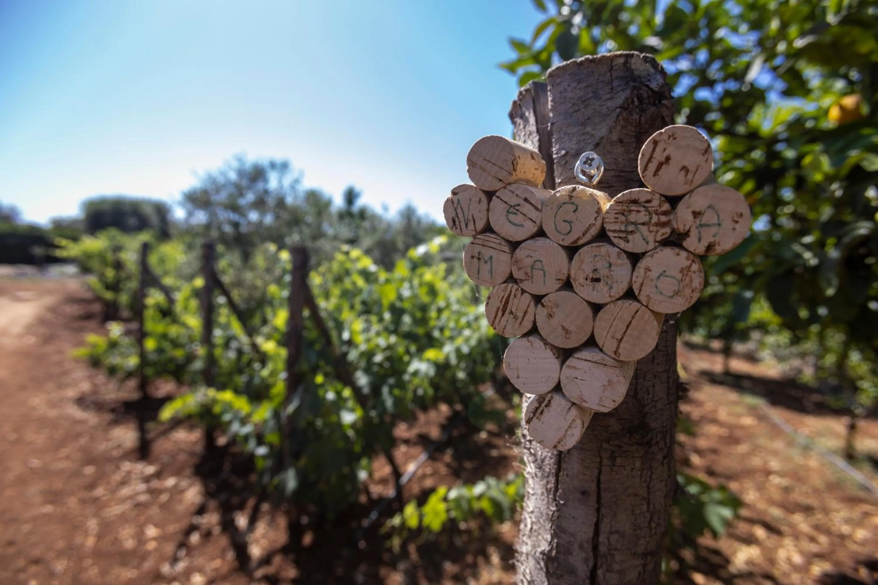 Villa Mamma Grazia Rooms