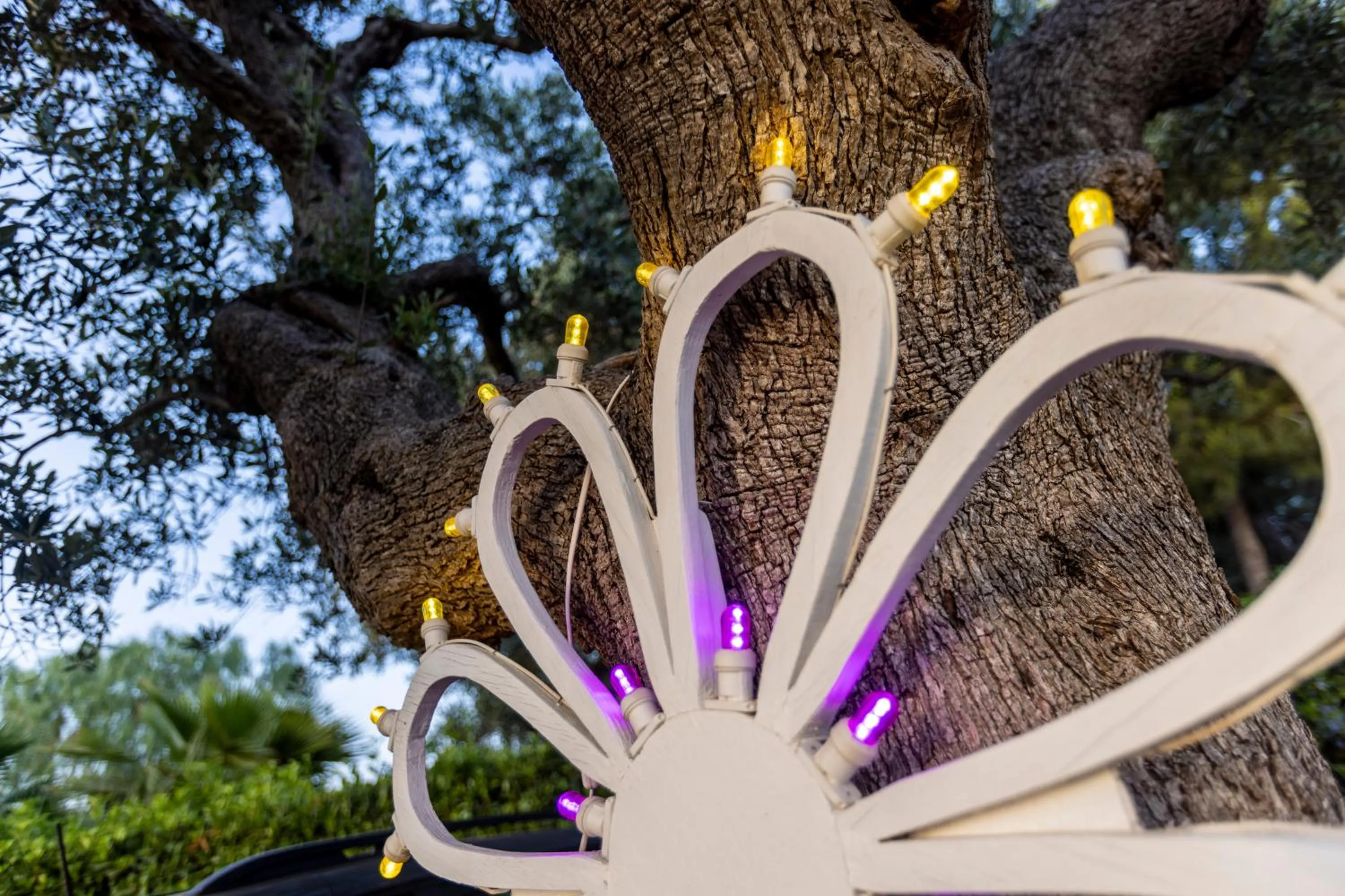 Villa Mamma Grazia Rooms