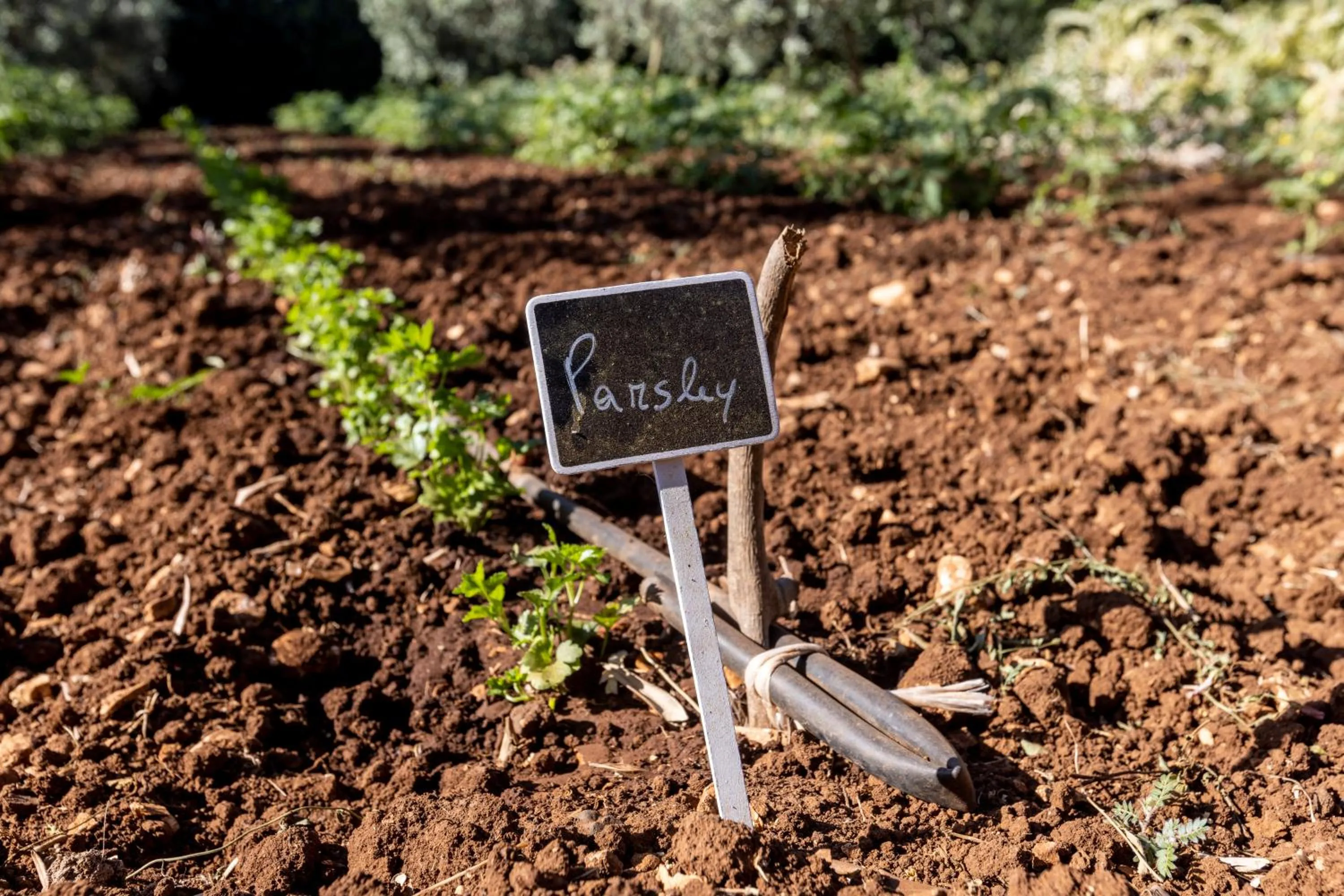 Villa Mamma Grazia Rooms