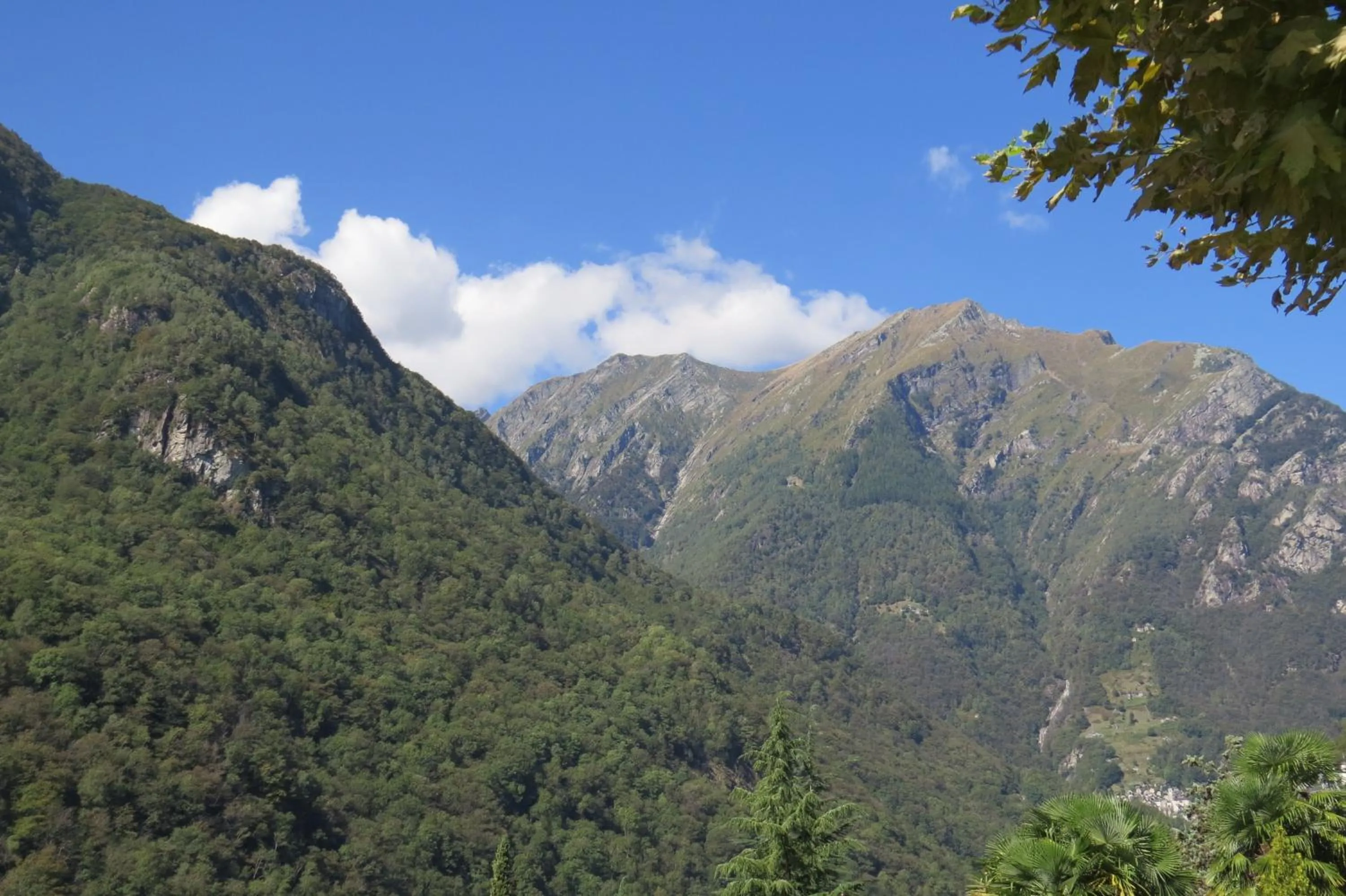 Natural landscape in Hotel Pizzo Vogorno