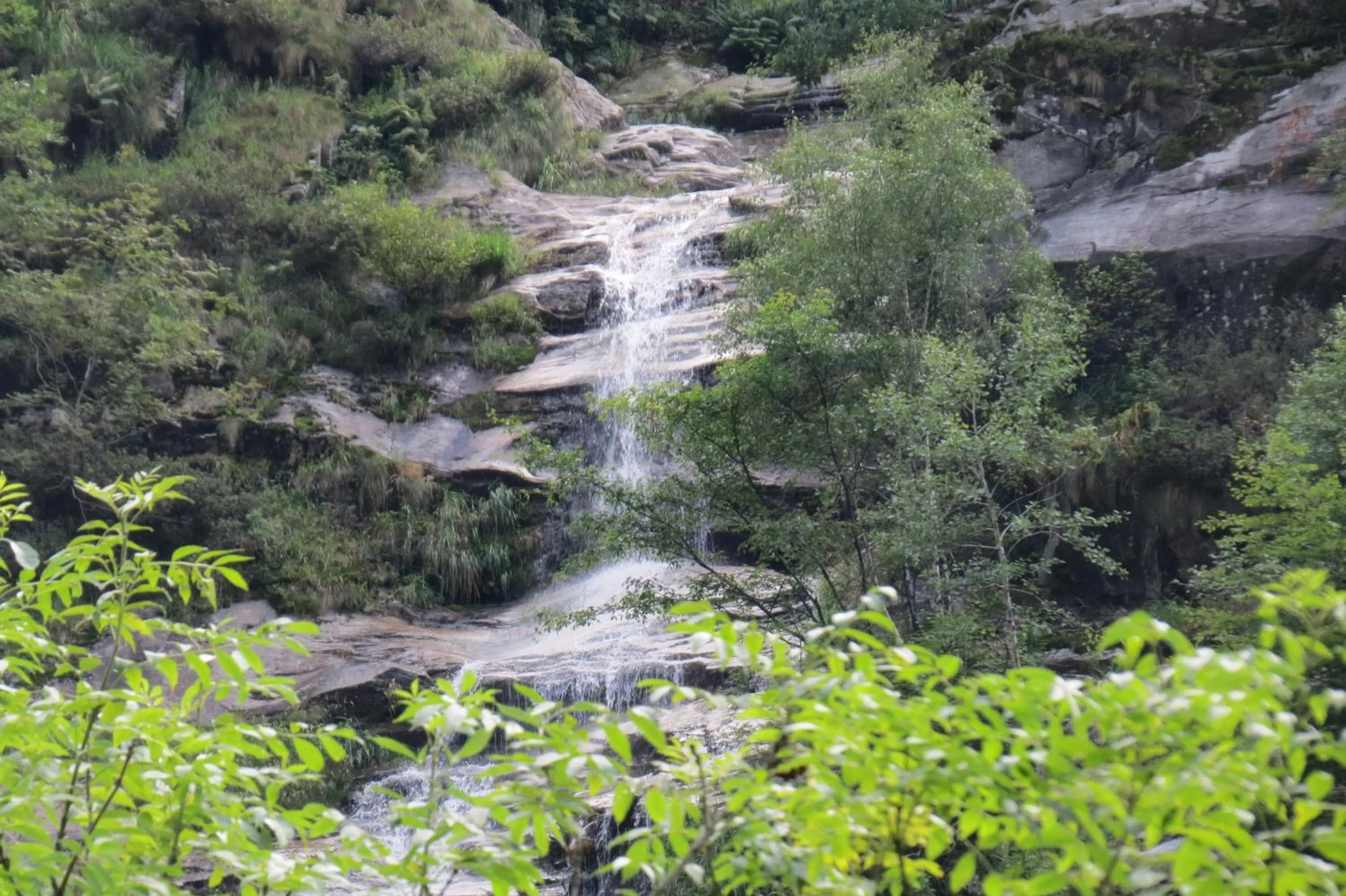 Hiking in Hotel Pizzo Vogorno