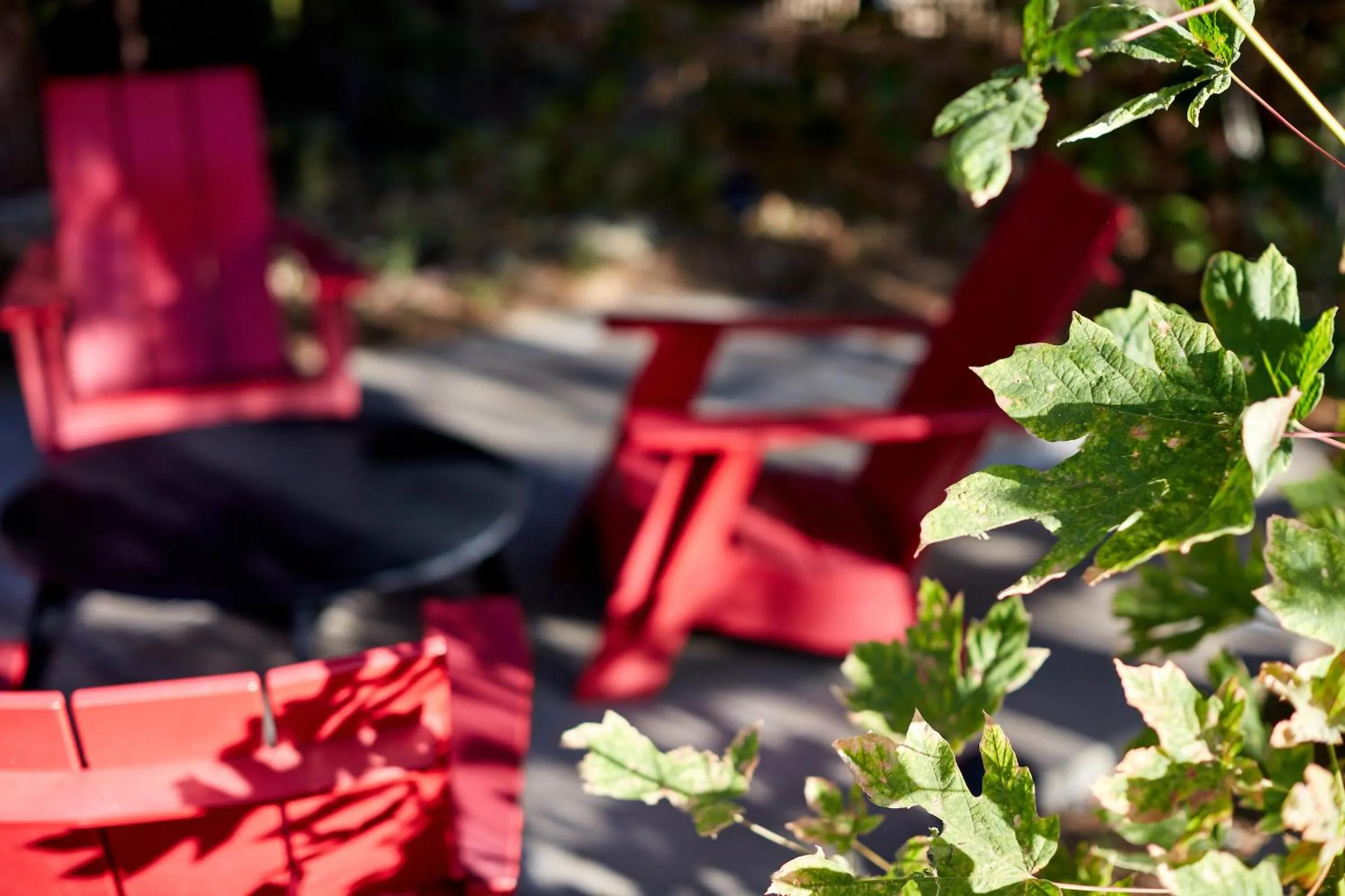 Seating area in Evergreen Lodge at Yosemite