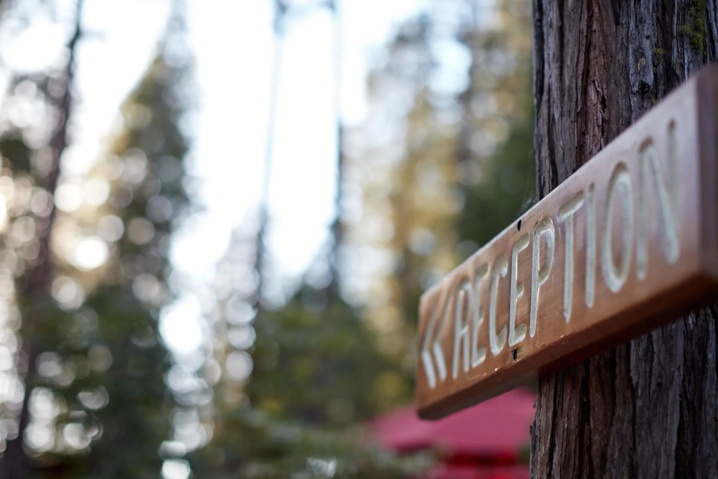 Property logo or sign in Evergreen Lodge at Yosemite