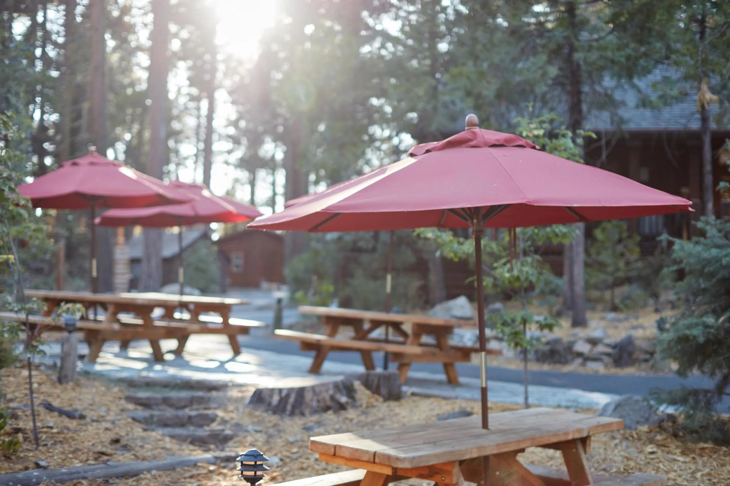 Area and facilities in Evergreen Lodge at Yosemite