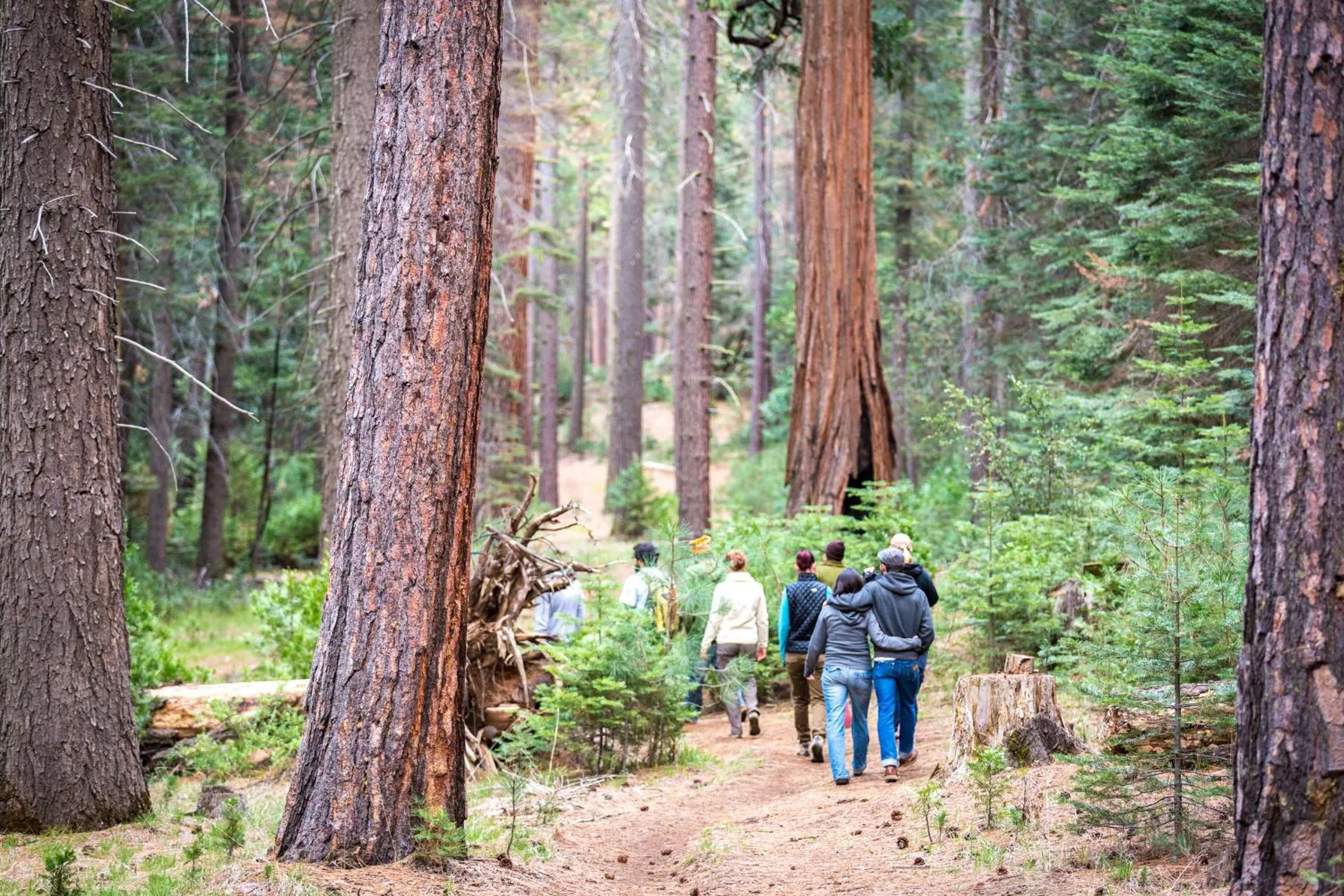 Hiking in Evergreen Lodge at Yosemite