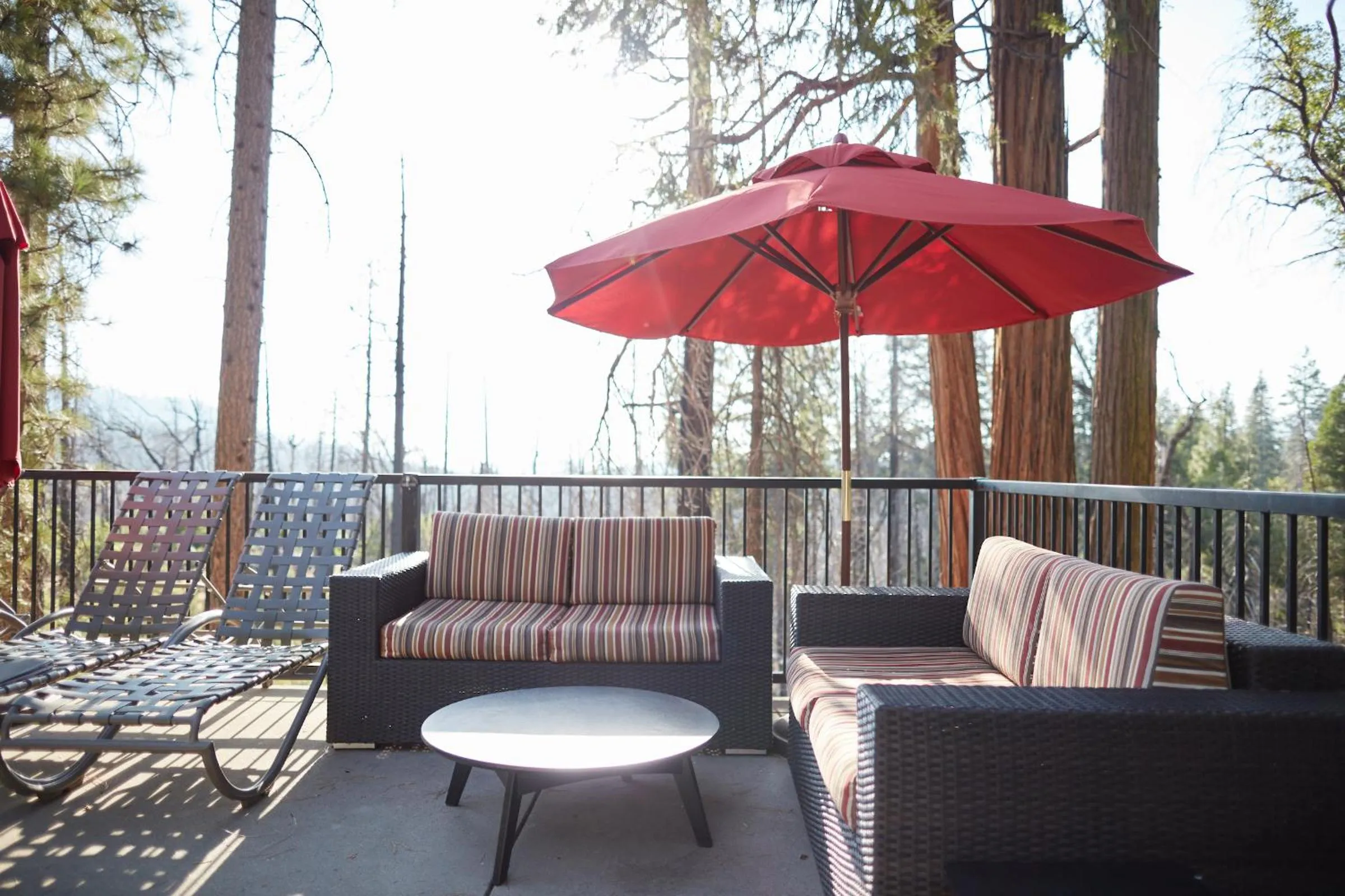 Balcony/Terrace in Evergreen Lodge at Yosemite