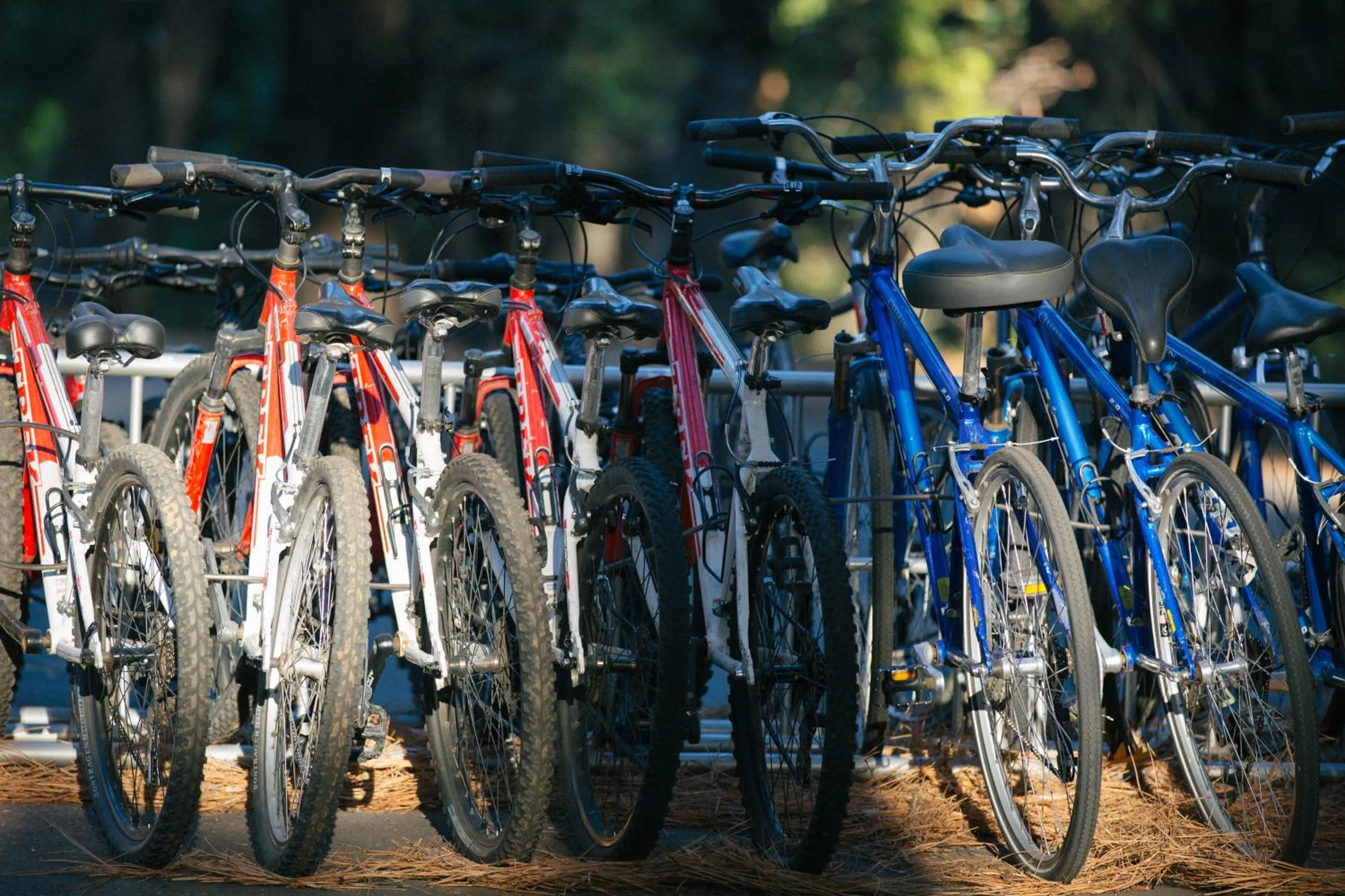 Cycling in Evergreen Lodge at Yosemite