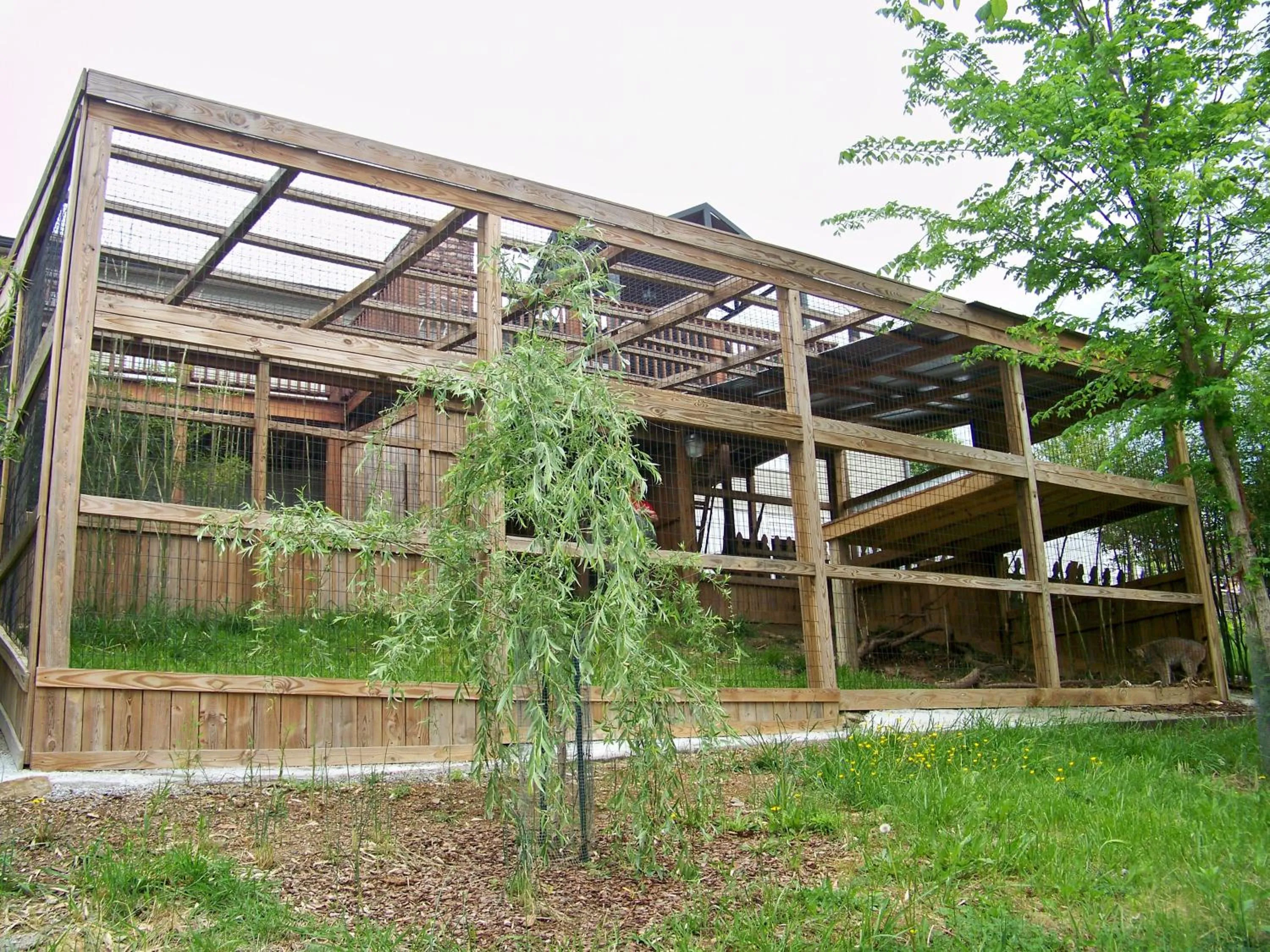 Property building in Private Pet Friendly Home Near Exotic Deer Farm Close to Pigeon Forge, Gatlinburg TN