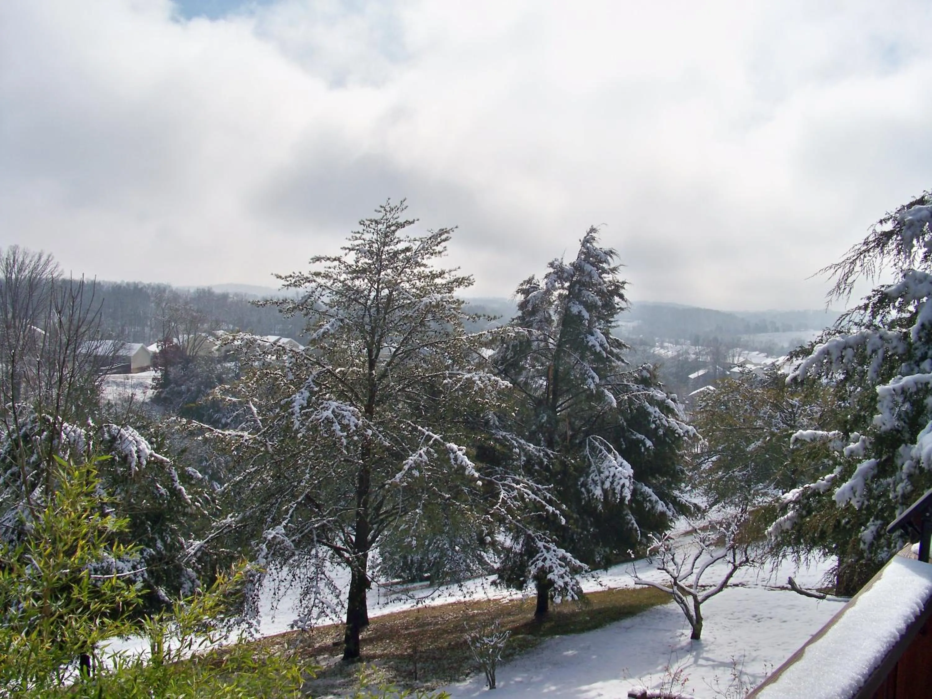 View (from property/room) in Private Pet Friendly Home Near Exotic Deer Farm Close to Pigeon Forge, Gatlinburg TN