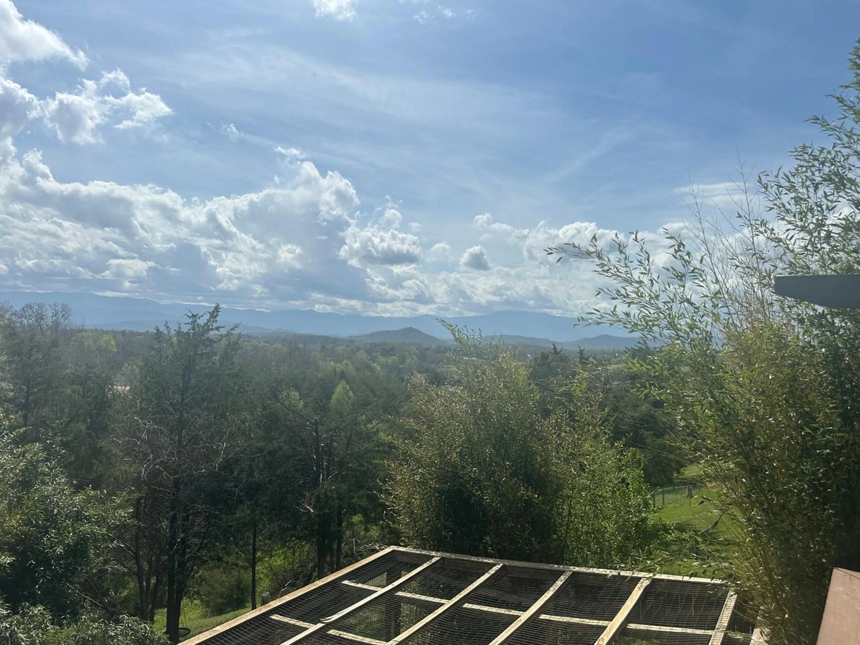 Private Pet Friendly Home Near Exotic Deer Farm Close to Pigeon Forge, Gatlinburg TN